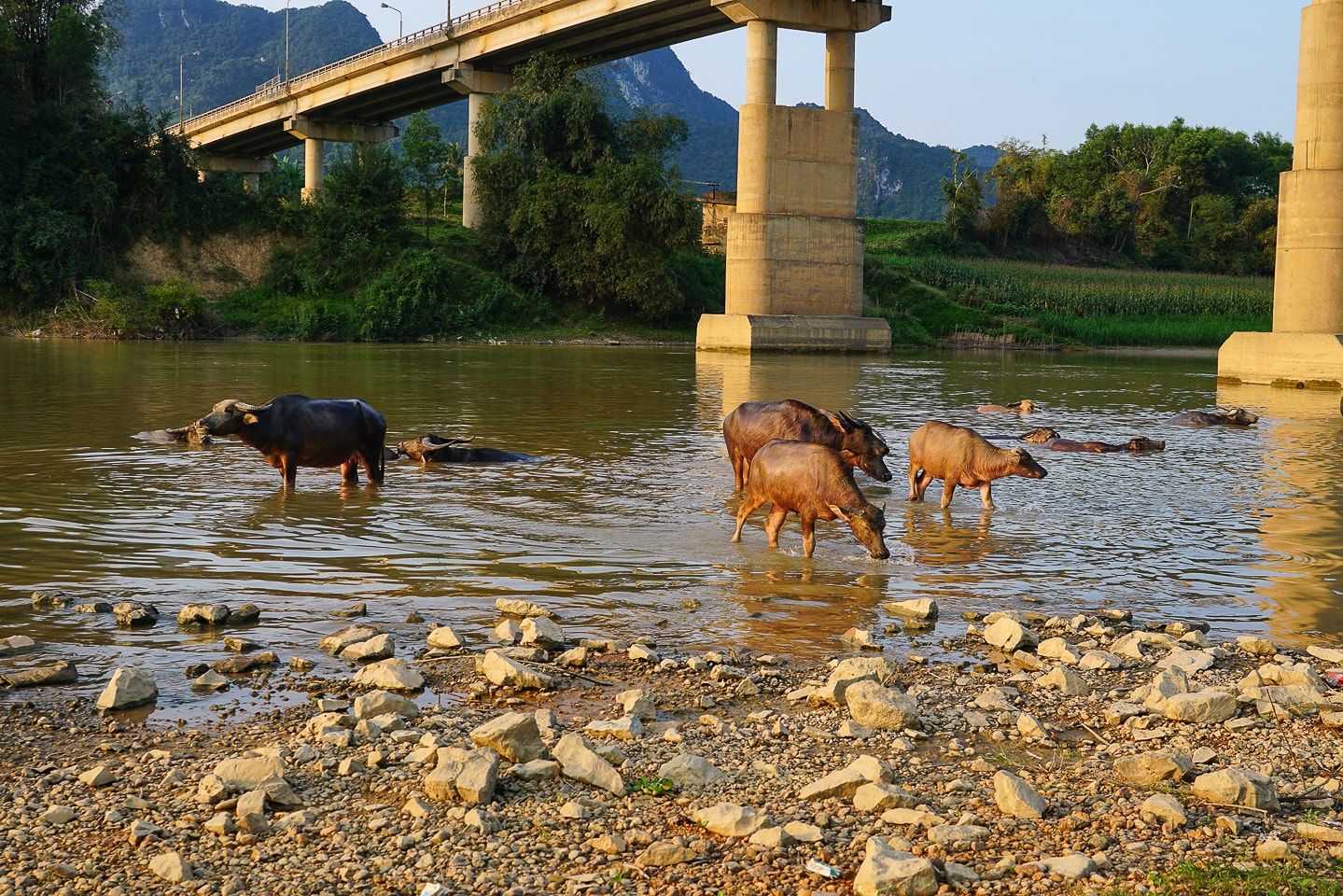 Hồ Chiến