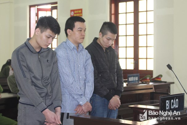 3 bị cáo Lương Văn Vọng, Kha Ngọc Quý và Kha Văn Vũ trước tòa. Ảnh: Phương Thảo