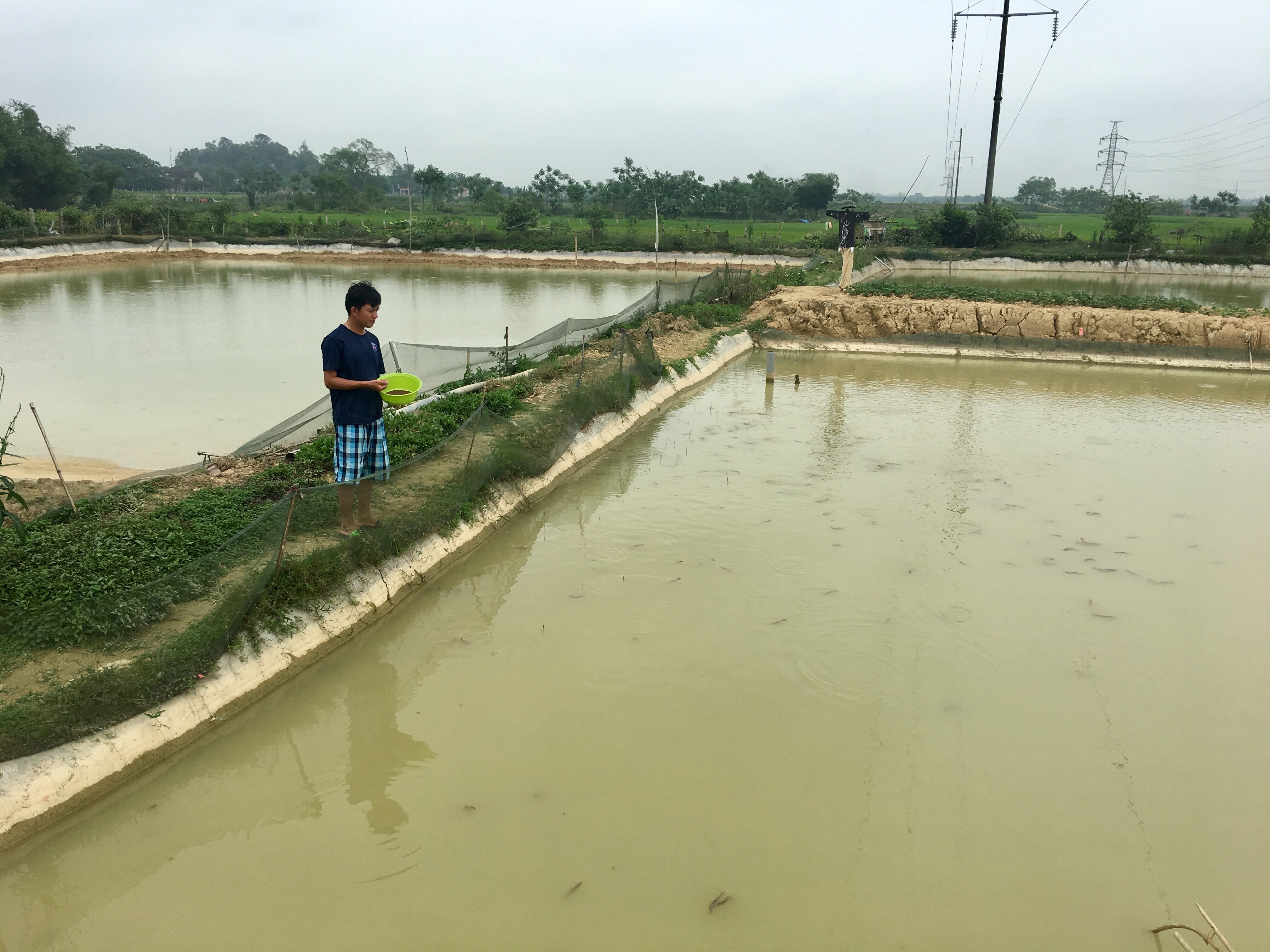 Mô hình nuôi Chạch Quế của anh Đào Văn Thắng ở xóm 10, xã Minh Sơn (Đô Lương). Ảnh: Ngọc Phương
