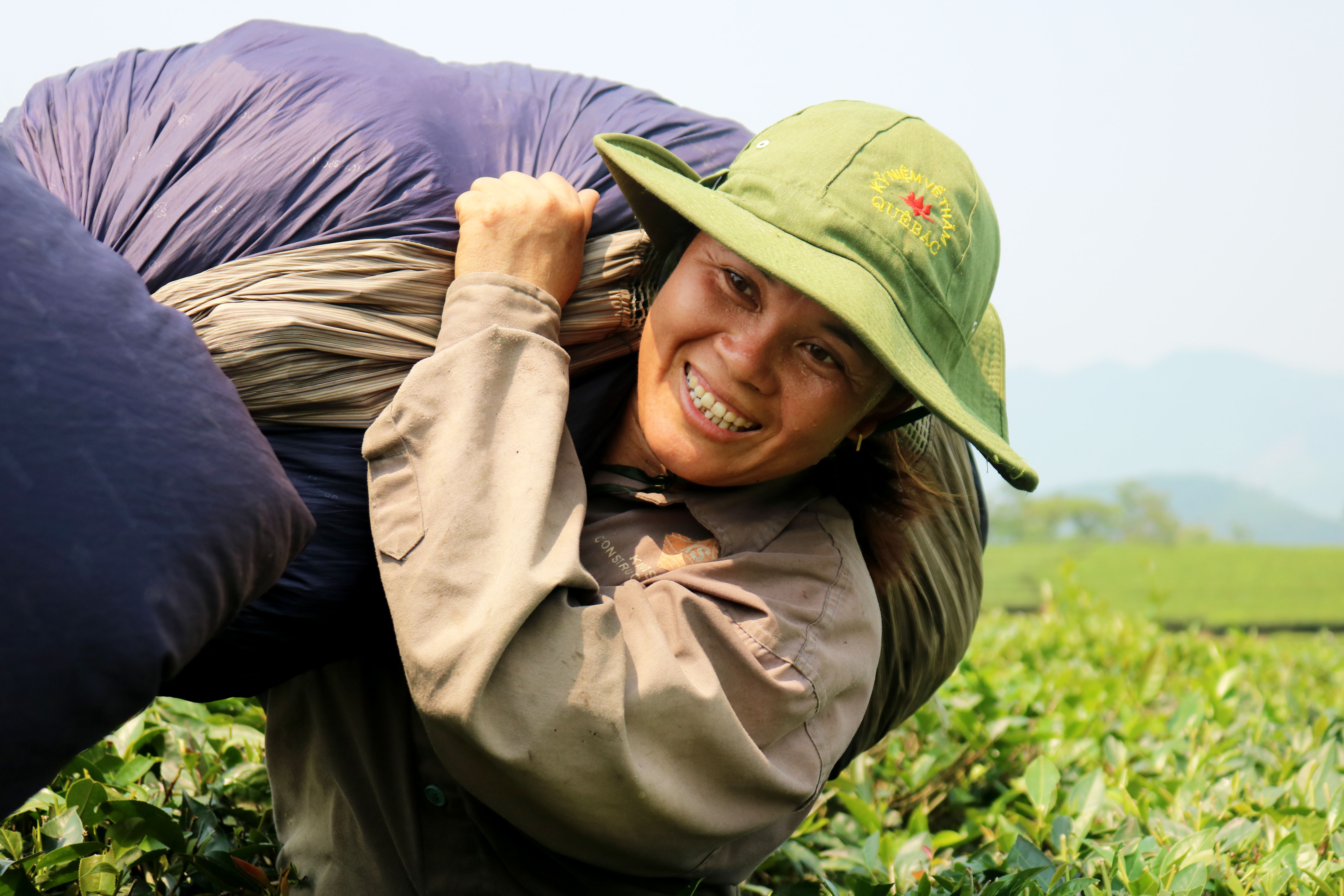 4.Với hơn 4000 ha chè kinh doanh, đang đem lại cho người trồng chè xứ Nhút một nguồn thu nhập khá. Niềm vui đang lan tỏa trên những đồi chè.