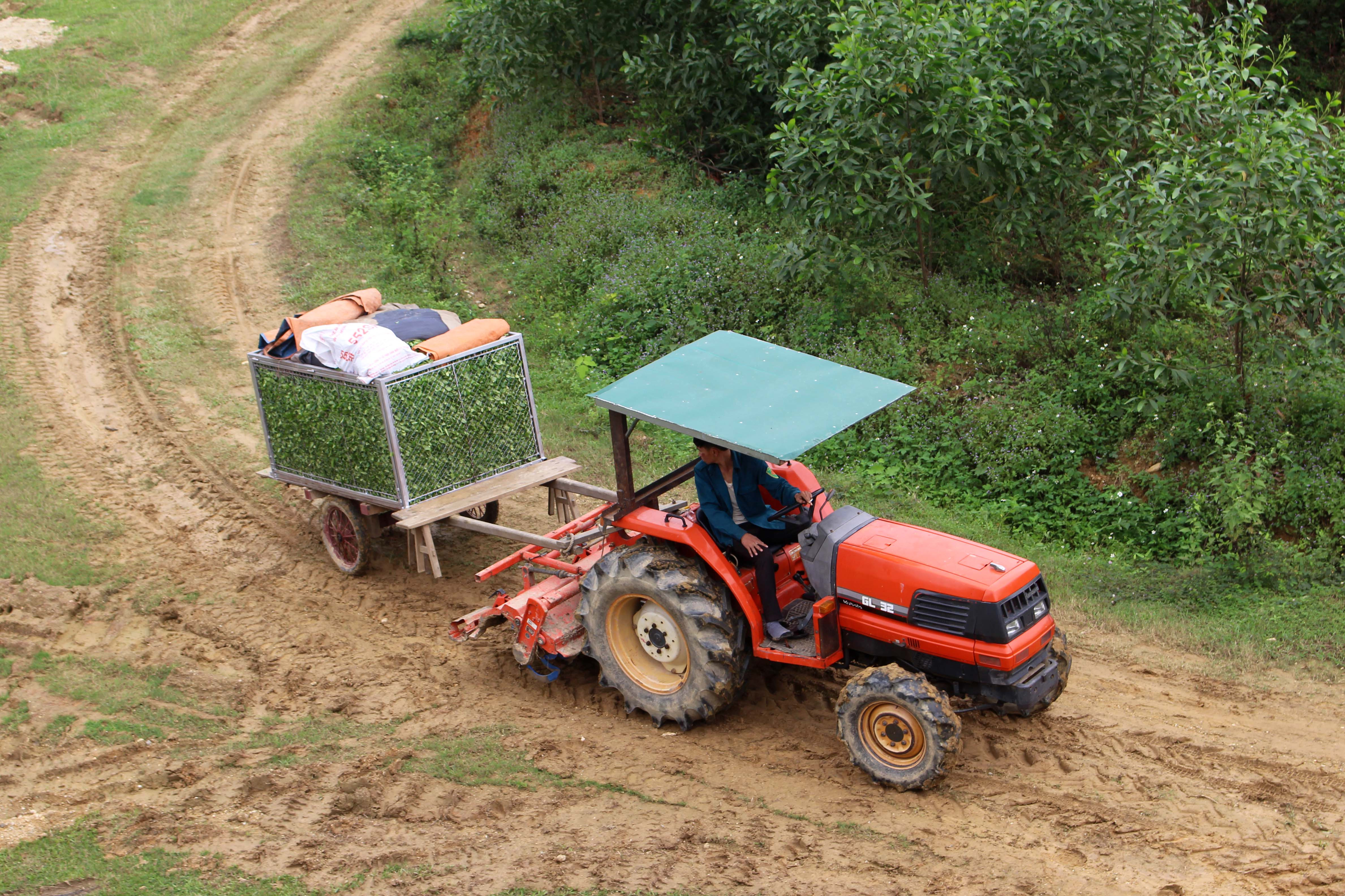 9.Người dân ở xã Thanh Hà dùng máy cày kéo xe lưới để vận chuyển chè. Phương tiện này phù hợp ở những địa hình lắm đèo, dốc, khe suối… Ảnh: Huy Thư