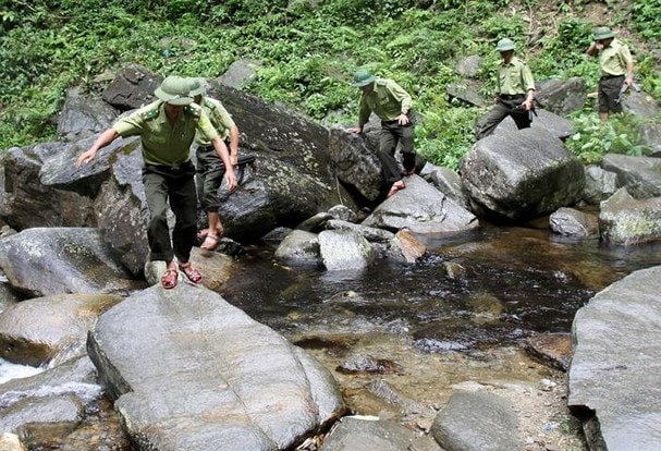 Kiểm lâm tuần tra rừng ở Con Cuông. Ảnh tư liệu
