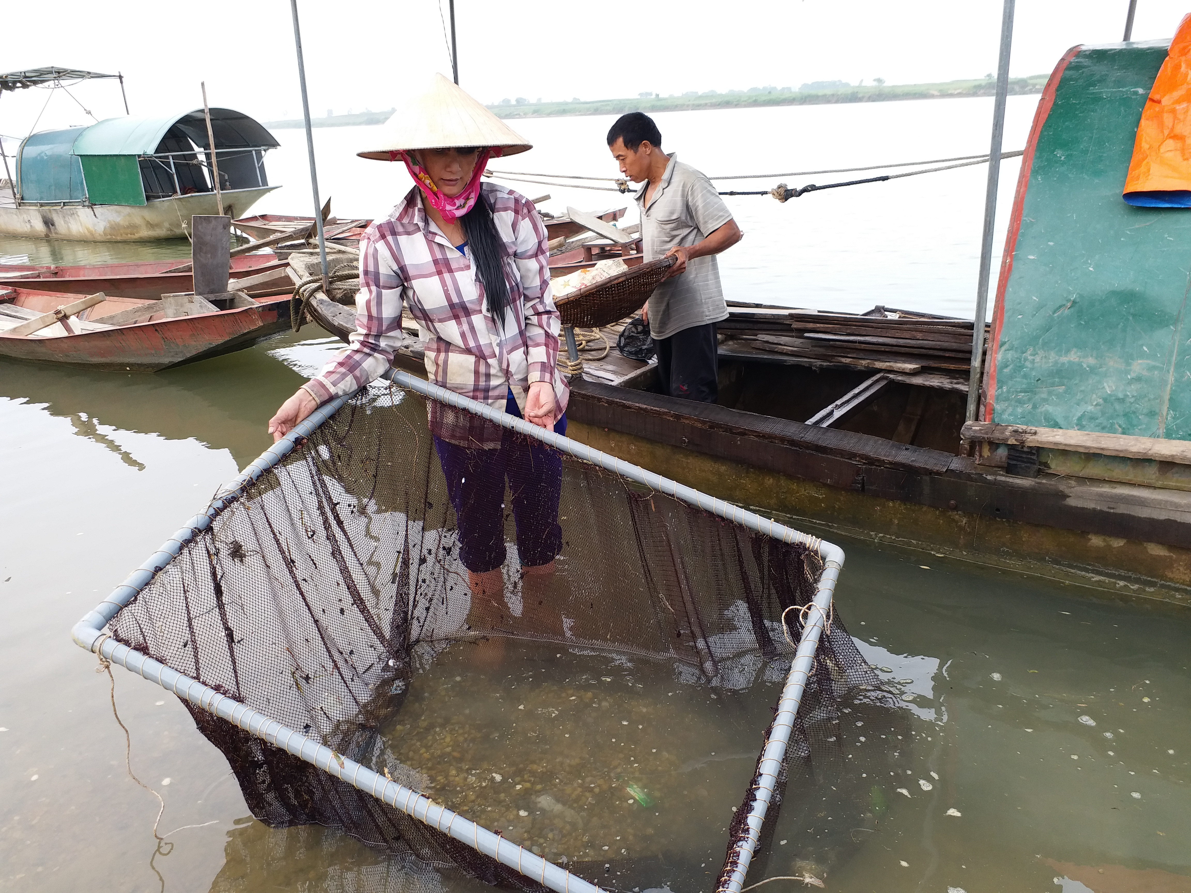 Số hến ít ỏi vợ chồng anh Hải bắt được sau một ngày dầm nước dãi nắng. Ảnh Thục Dương