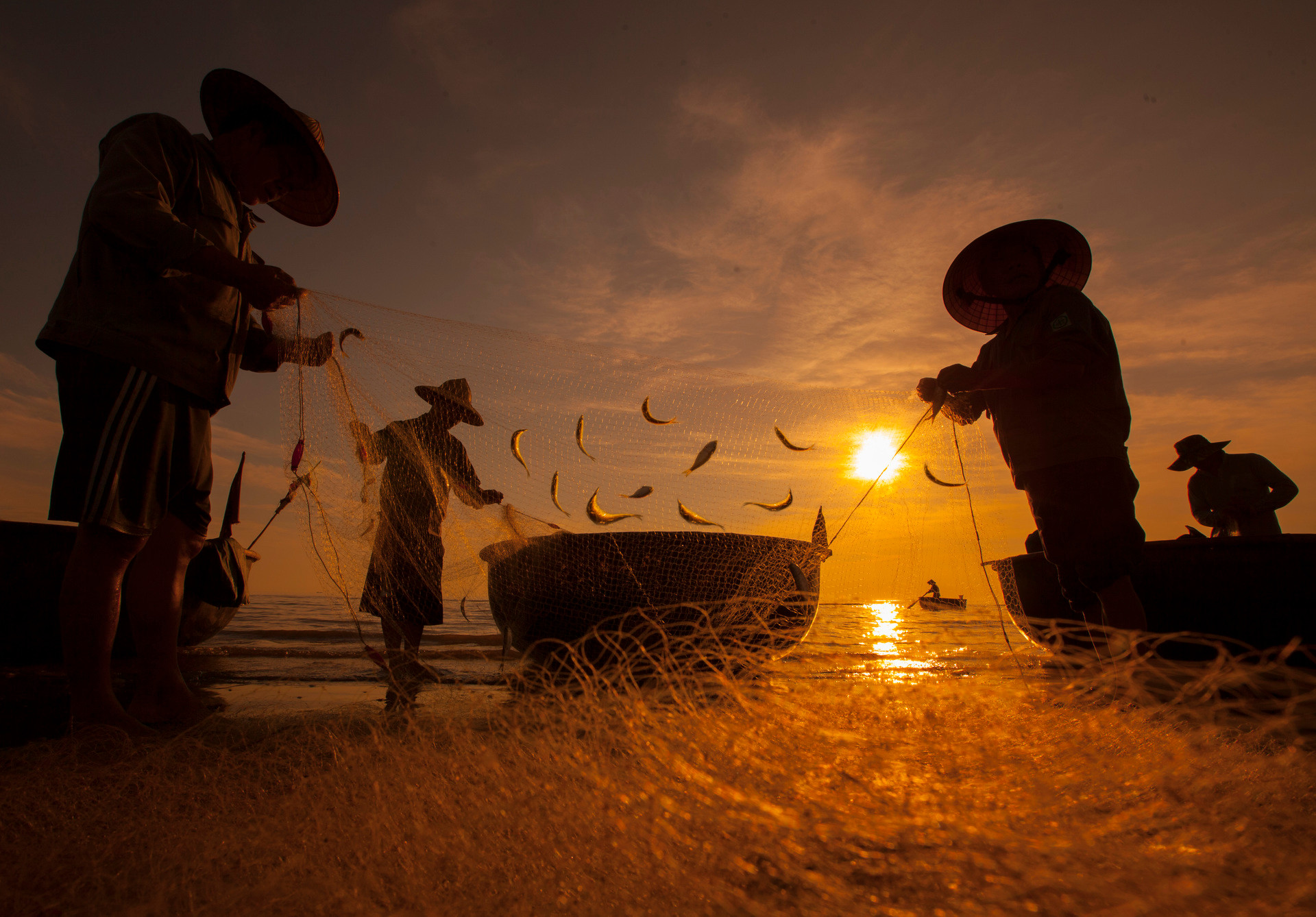 Mờ sáng, ở bãi biển Cửa Lò, du khách có thể tham gia trải nghiệm kéo lưới, bắt những mẻ cá tươi rói cùng bà con ngư dân. Ảnh: Nguyễn Quốc Hoàng.