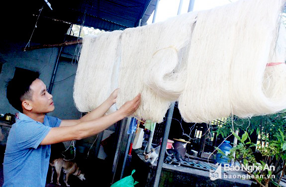 Đầu năm 2018, giá kén tăng nên người dân xã Diễn Kim, Diễn Châu tích cực sản xuất tơ tằm trắng. Loại tơ trắng này đắt hơn tơ vàng 200.000 đồng/kg. ảnh Quang An