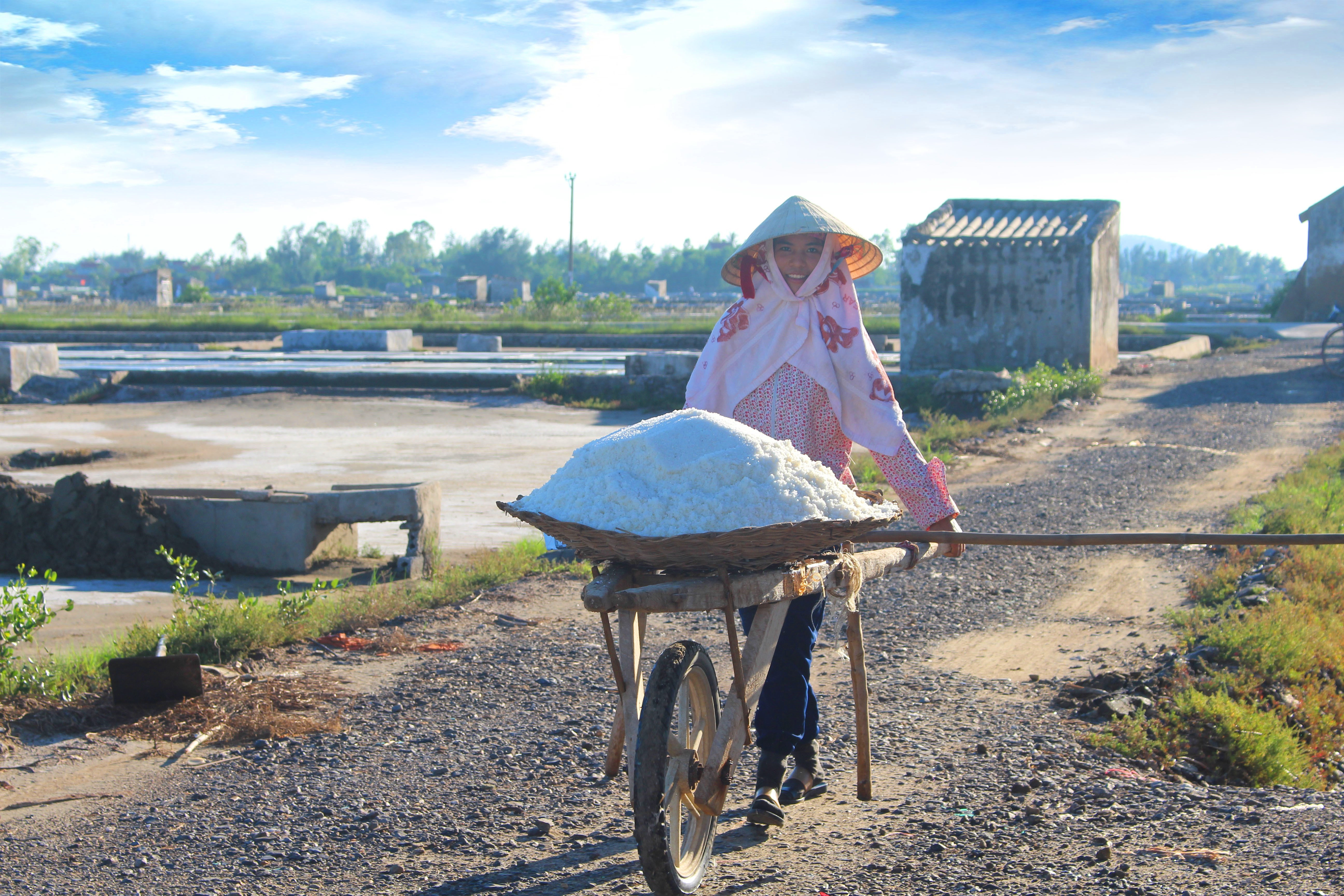 Hiện diêm dân các xã như An Hòa, Quỳnh Thọ, Quỳnh Nghĩa, Quỳnh Yên, Quỳnh Minh (Quỳnh Lưu) cũng đang tích cực ra đồng sản xuất muối. Ảnh Việt Hùng