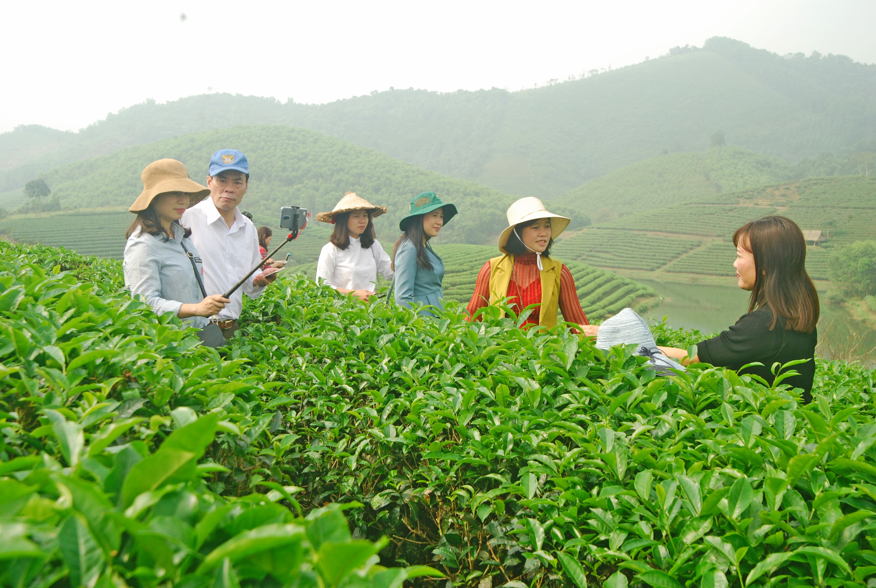 Du khách tham quan đảo chè tại xã Thanh An (Thanh Chương). Ảnh: Đình Hà