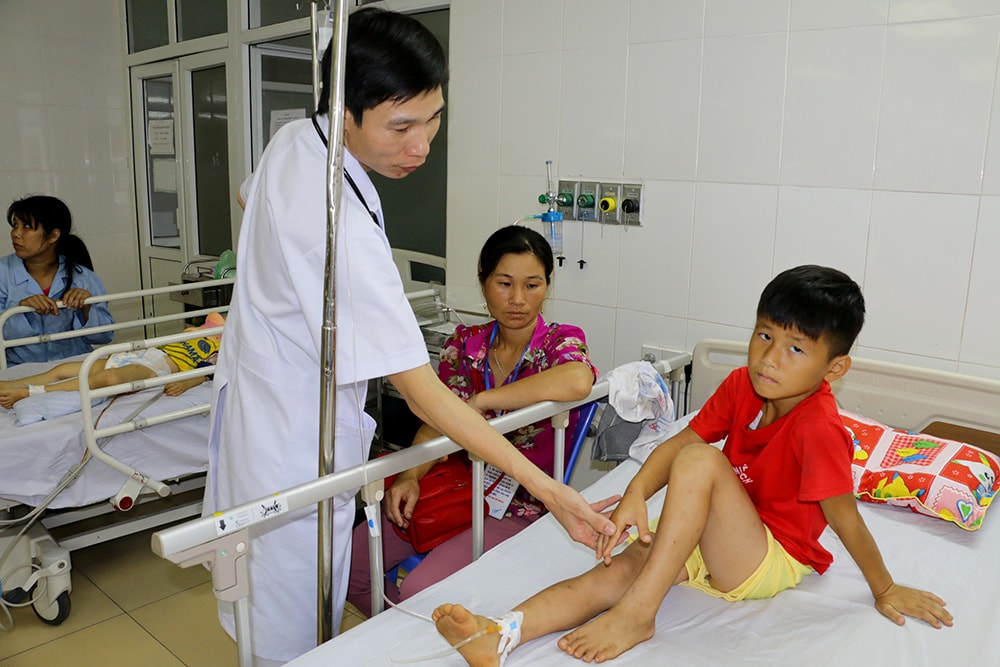 Những trường hợp bị rắn cắn rất khó xác định được nhóm bệnh nếu không biết chính xác loại rắn cắn. Ảnh: Mỹ Hà