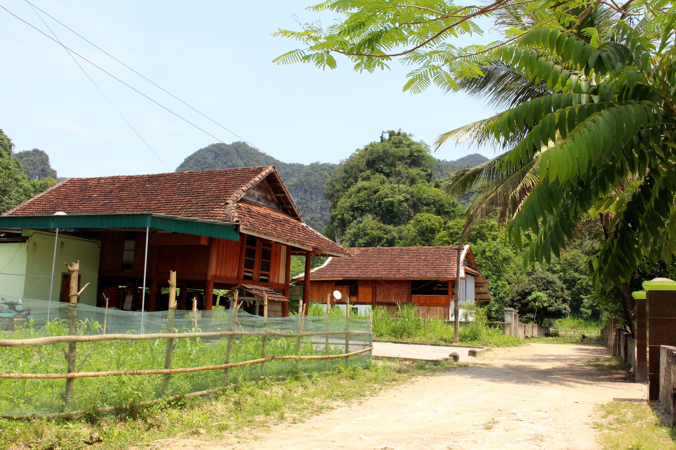 Bản Thái Minh còn lưu giữ nhiều nếp nhà sàn, là điểm đến du lịch cộng đồng hấp dẫn ở Tân Kỳ. Ảnh: Đinh Nguyệt