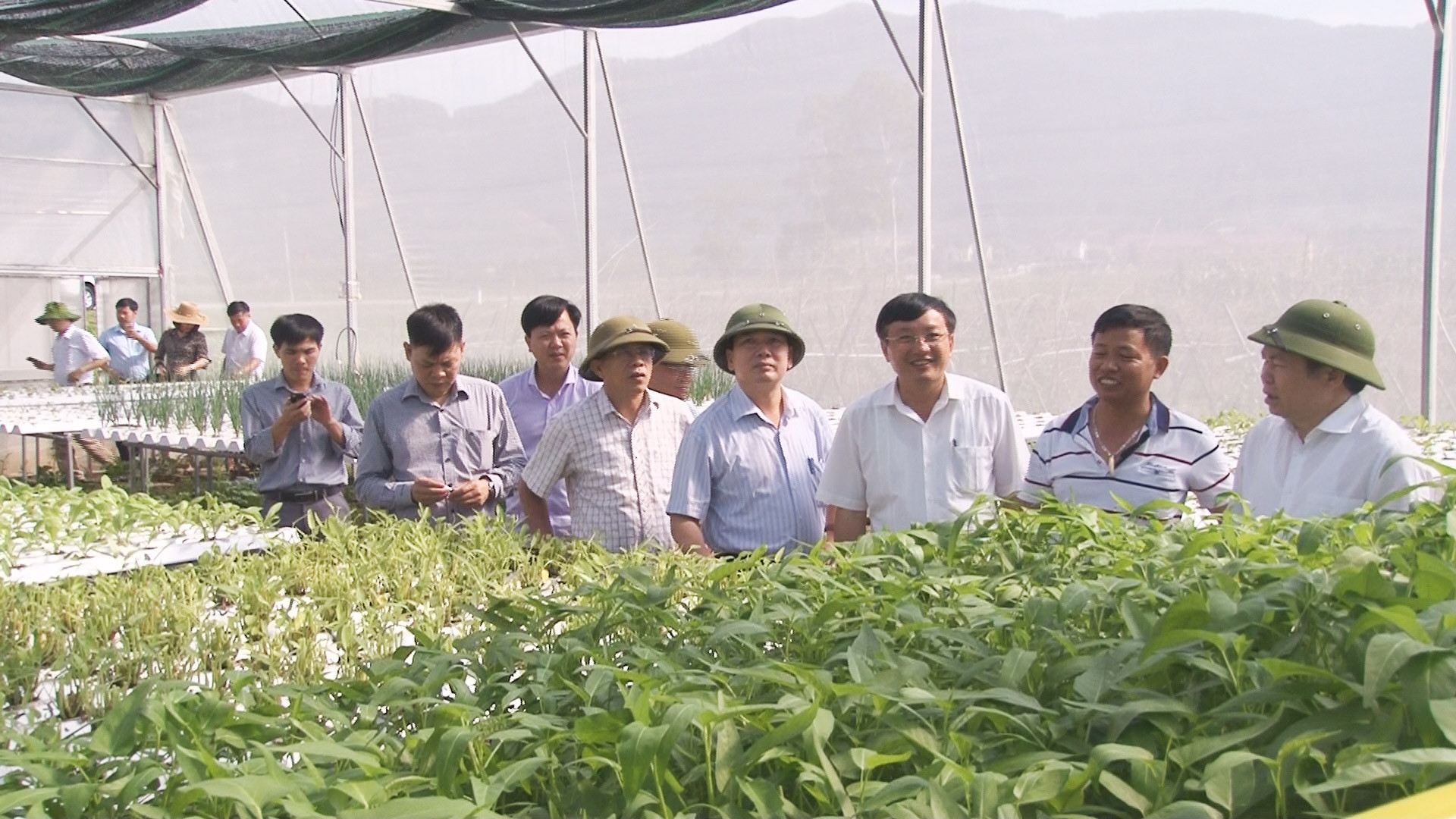 Đoàn công tác của Liên minh HTX Việt Nam tham quan mô hình trồng rau theo công nghệ mới bằng phương pháp thủy canh của gia đình anh Nguyễn Kim Nam ở xóm 3, xã Nam Anh. Ảnh: Kim Dung