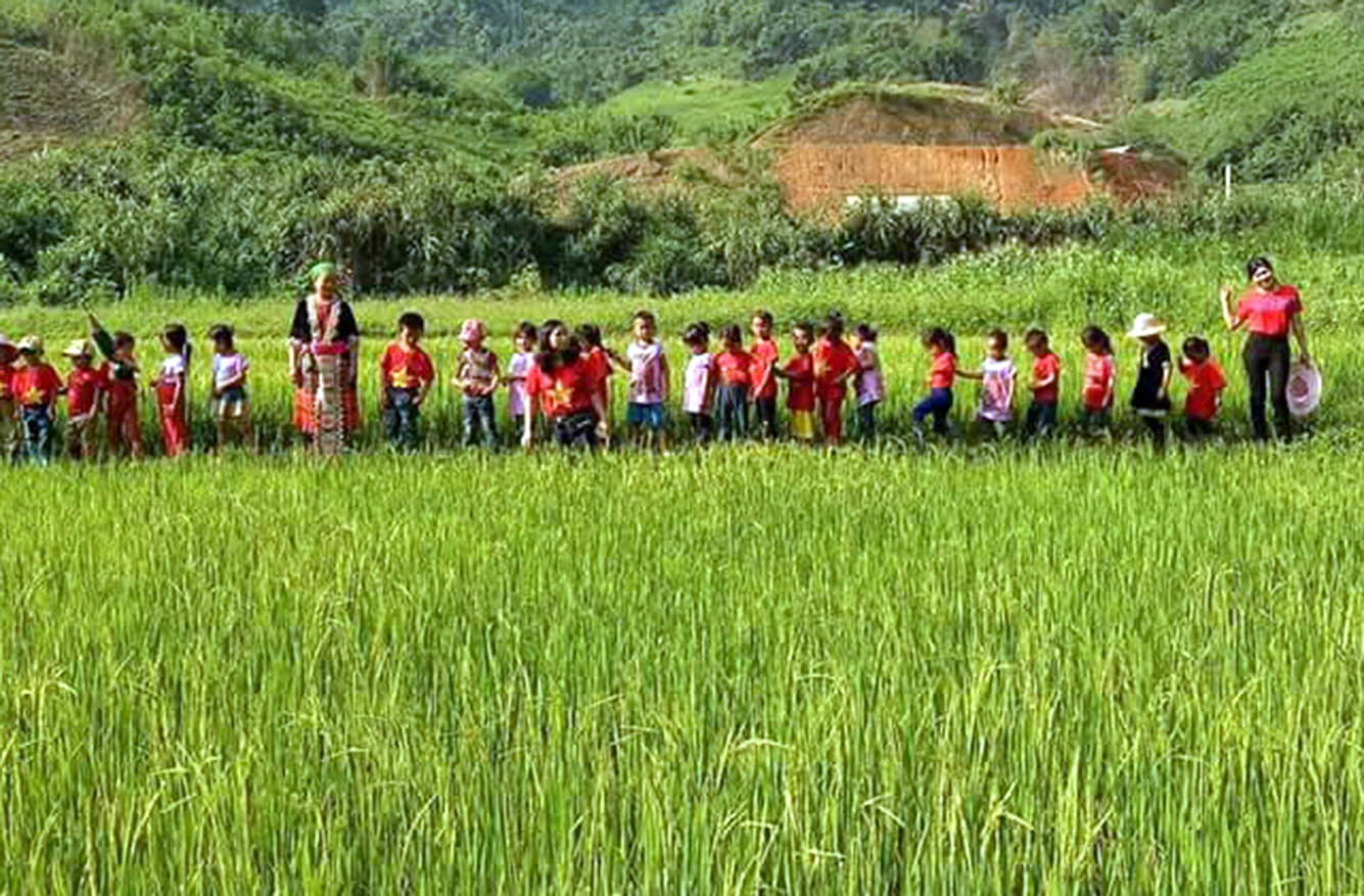 Ngoài học bơi, các em học sinh còn được đi dã ngoại để tìm hiểu về cuộc sống xung quanh mình. Ảnh: VQ