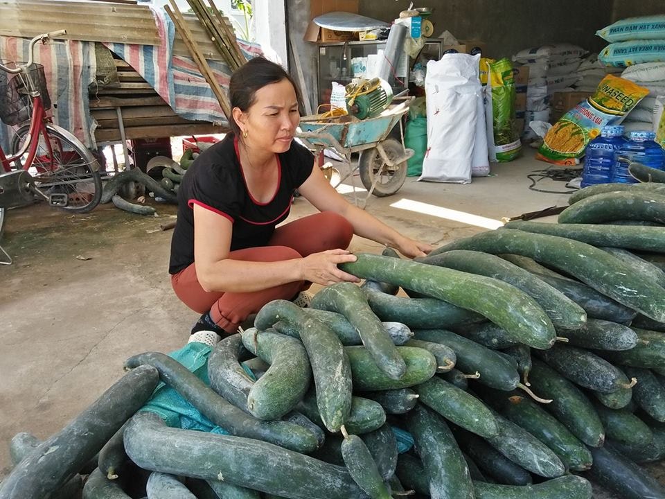 Các ki ốt của chị Trần Thị Hà ở thôn Lĩnh Hồng, xã Thanh Lĩnh (Thanh Chương) nay quang đãng hơn vì bán đã bán được nhiều bí. Ảnh: Đình Hà