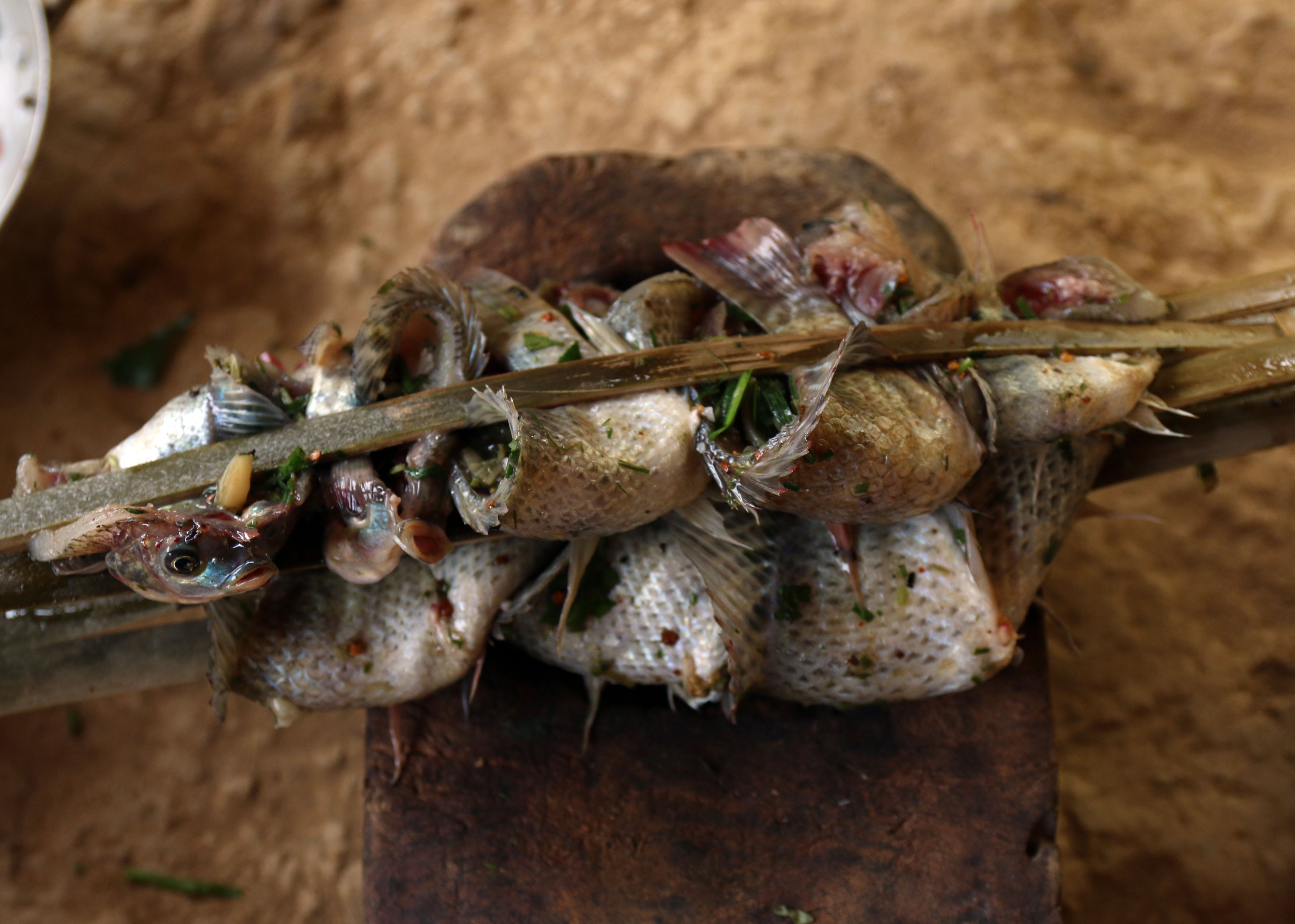 Những con cá được kẹp vào các thanh tre và nướng bằng than củi. Ảnh: Đào Thọ