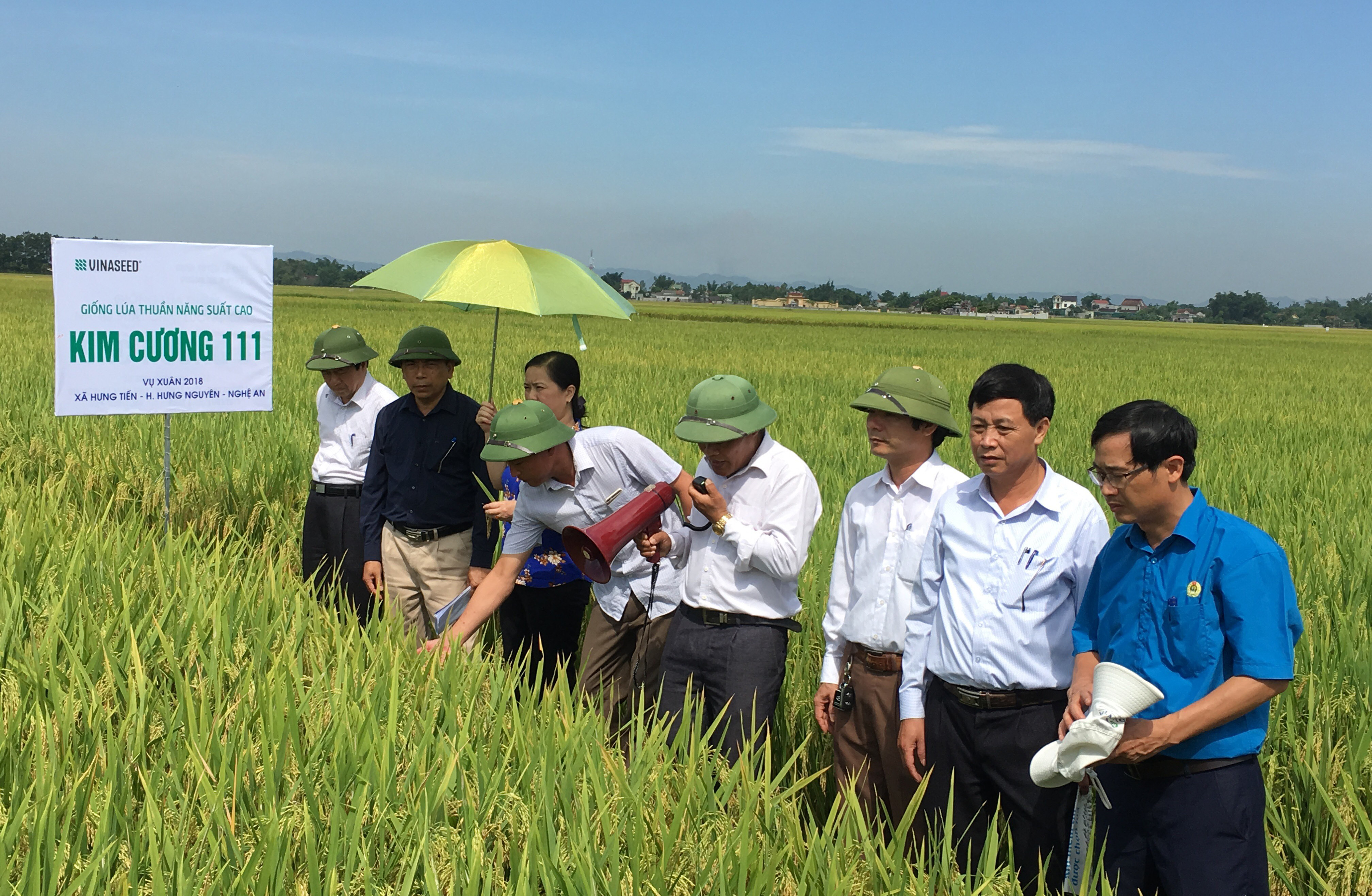 Các đại biểu tham quan CĐL sản xuất lúa chất lượng cao tại xã Hưng Tiến. Ảnh: Phú Hương