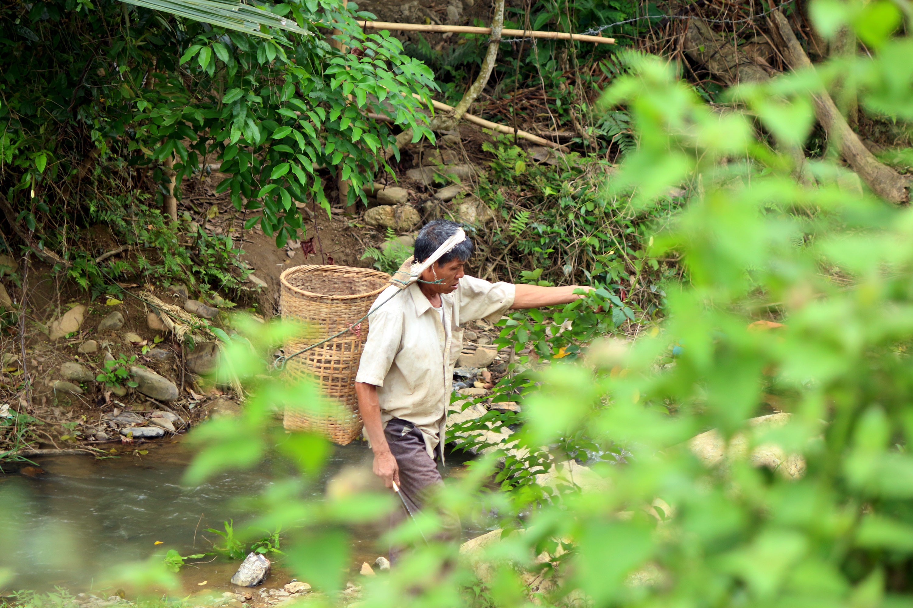 Công việc hàng ngày ngoài sản xuất họ tranh thủ lên rừng, xuống suối kiếm những cây rau, con chuột, con cá trong tự nhiên về cải thiện bữa ăn. Ảnh: Đào Thọ