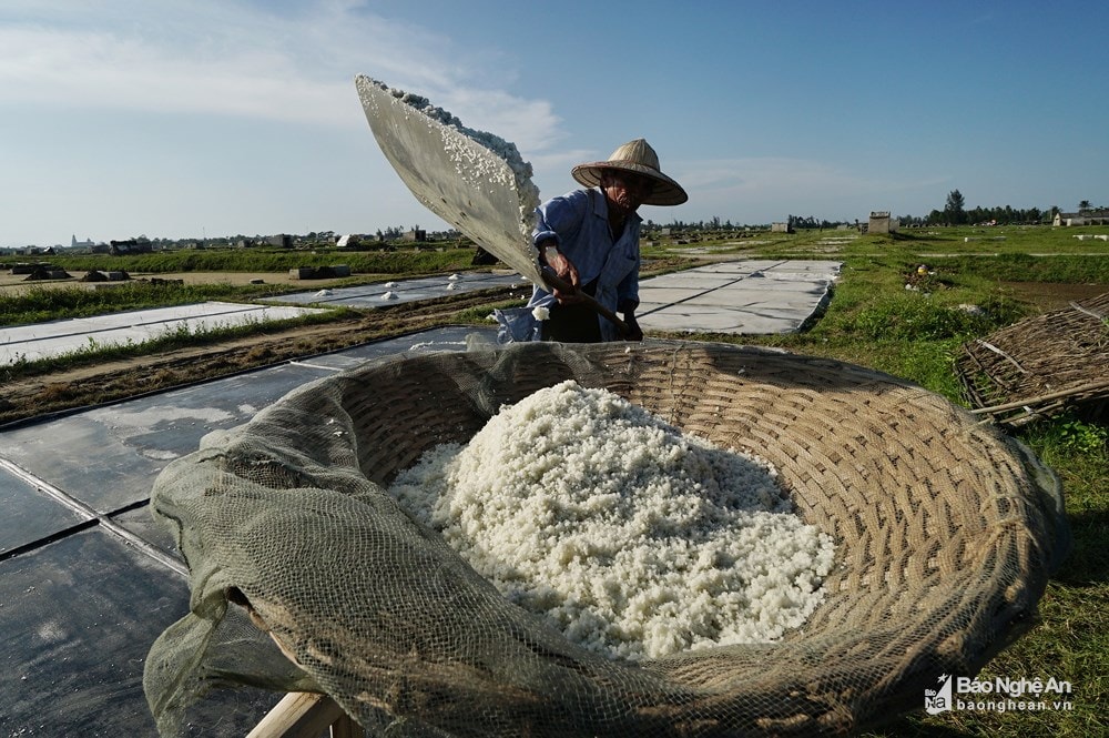 Nhọc nhằn trên đồng muối Diễn Kim (Diễn Châu, Nghệ An) trong ngày nắng nóng. Ảnh tư liệu