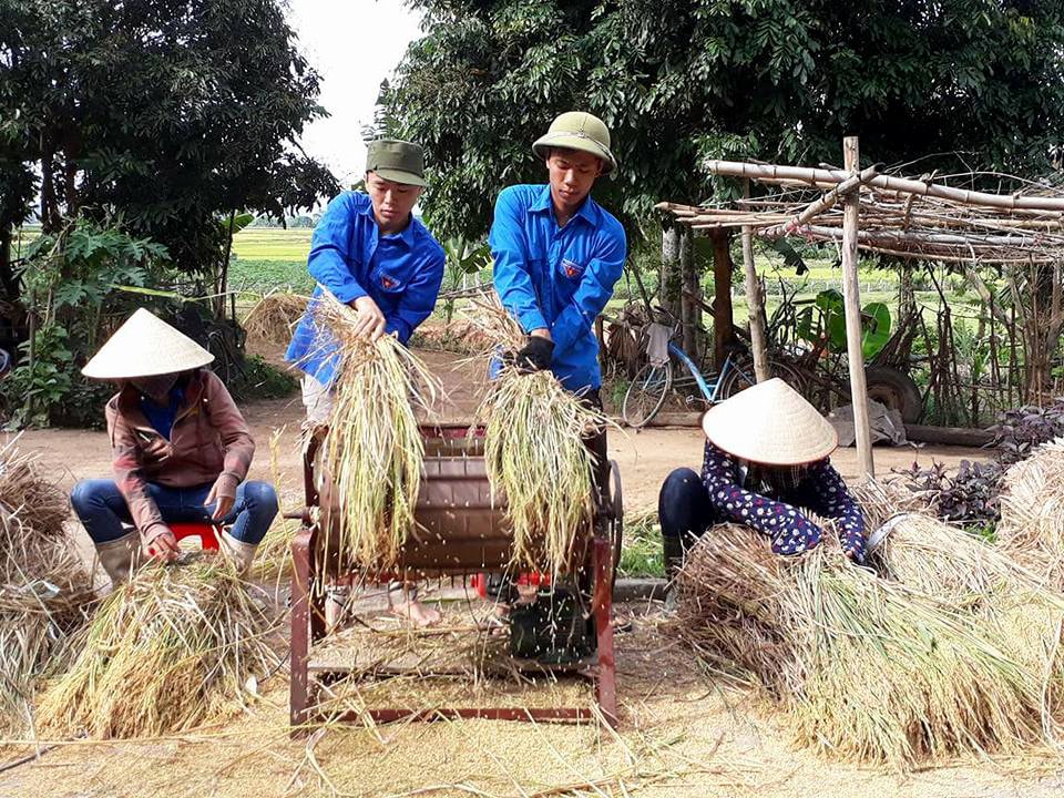 Chỉ trong 1 buổi sáng, mọi người đã gặt, vận chuyển về nhà và tuốt xong 3 sào lúa cho gia đình anh Lý