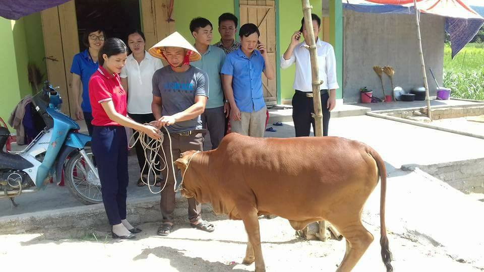 Đại diện Hội chữ thập đỏ xã Đồng Văn trao bò giống cho gia đình anh Hải