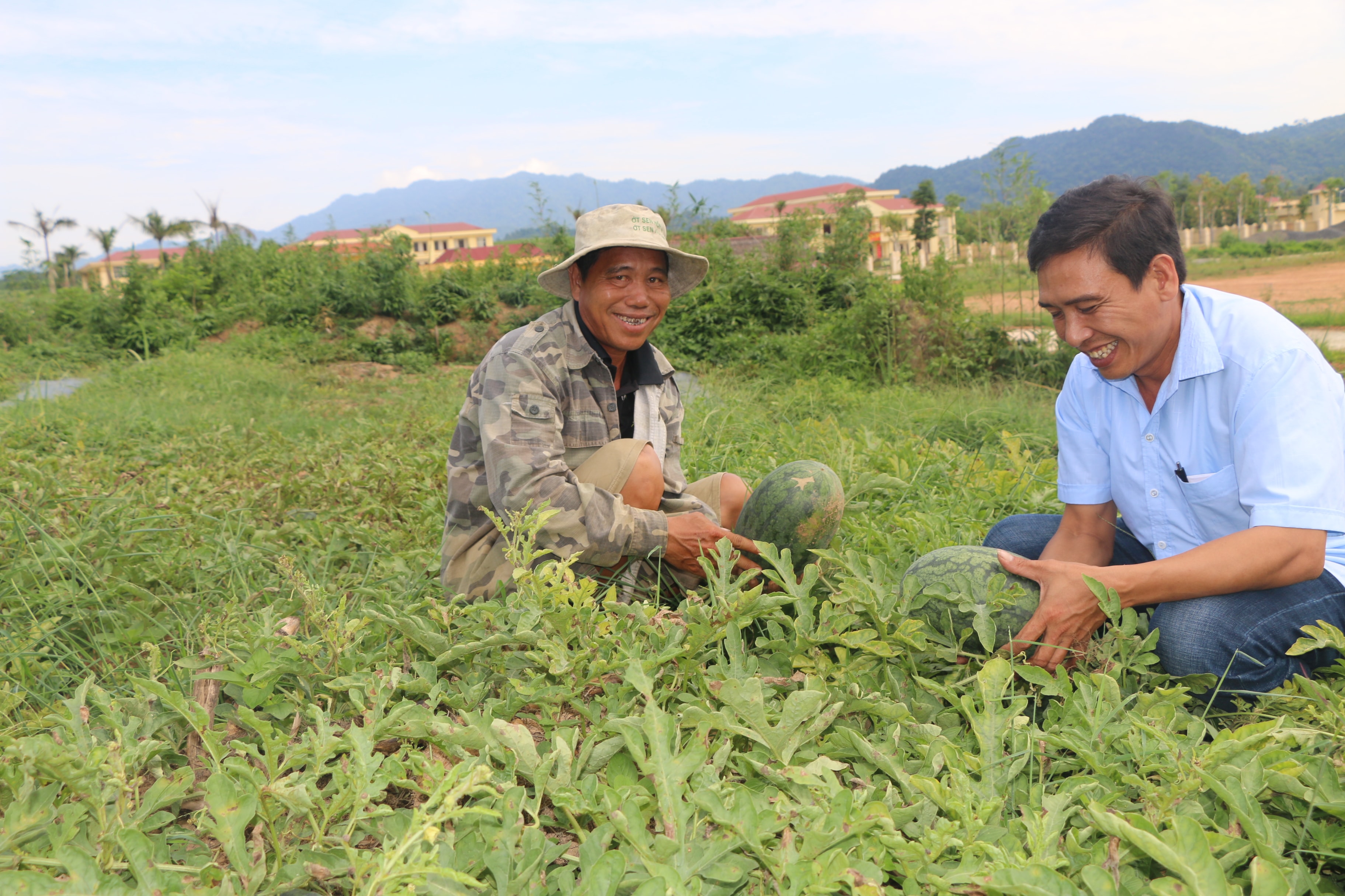 Nhưng đổi lại, dưa được mùa, mang lại thu nhập khá, tạo dựng cho anh cơ ngơi với nhà cửa, tiện nghi sinh hoạt, anh mua đất trồng rừng, mở nhà hàng, có vốn cho con trai đầu đi XKLĐ. Ảnh: K.L