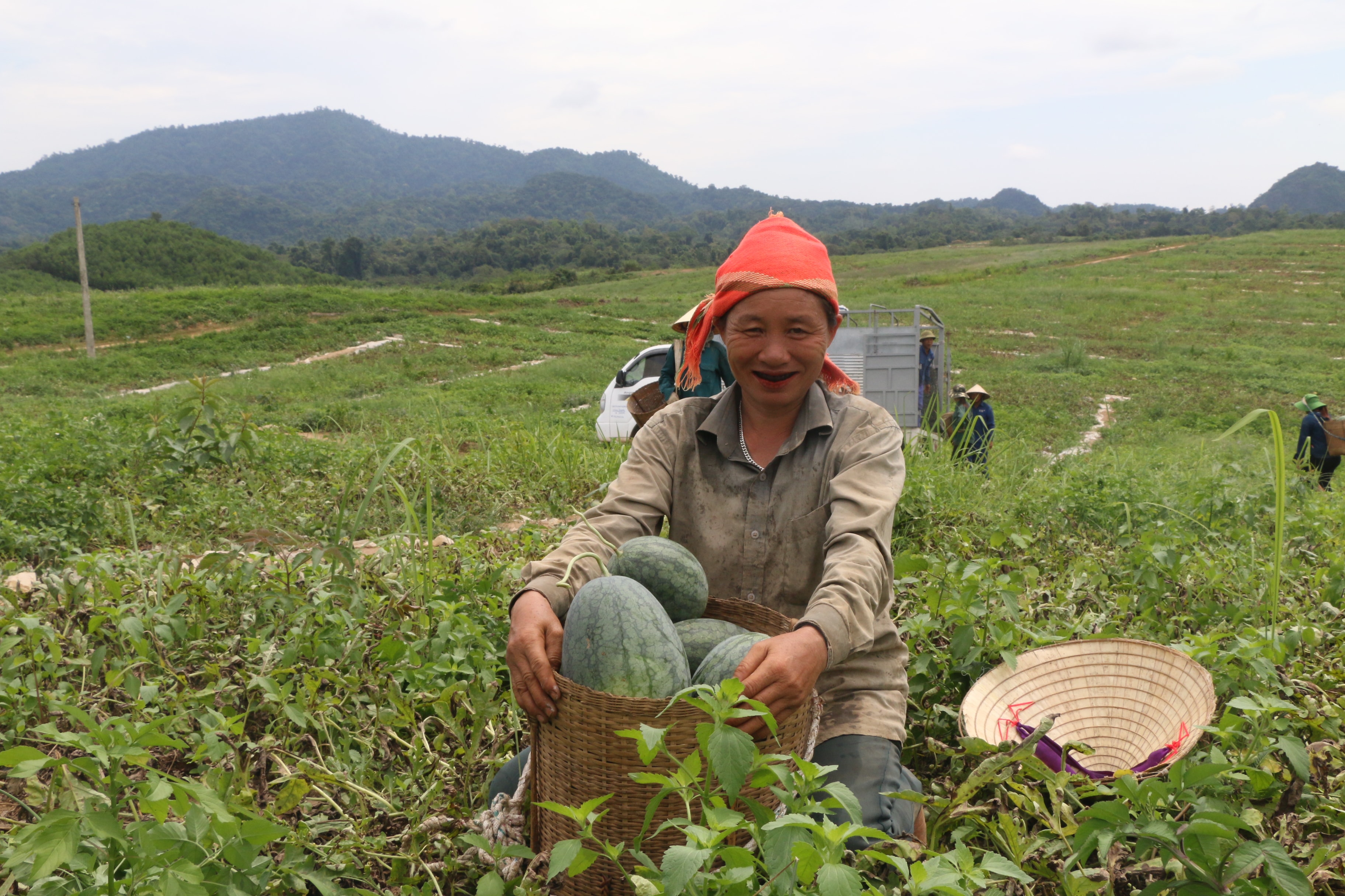 Vào chính vụ thu hoạch, các chủ dưa phải thuê người dân bản địa (hay còn gọi là “Hội bế”) hái và gùi dưa. Ảnh: T.P