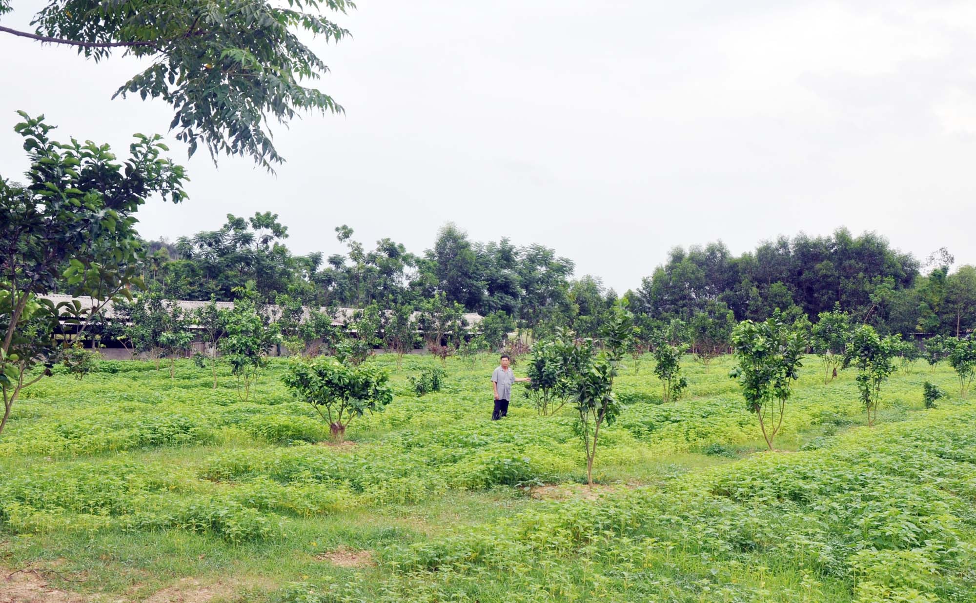 Xuất ngũ