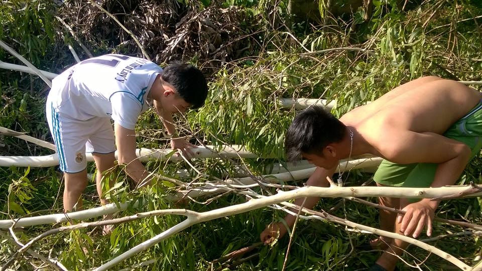 ông Chuyến đã bị cây đập 
