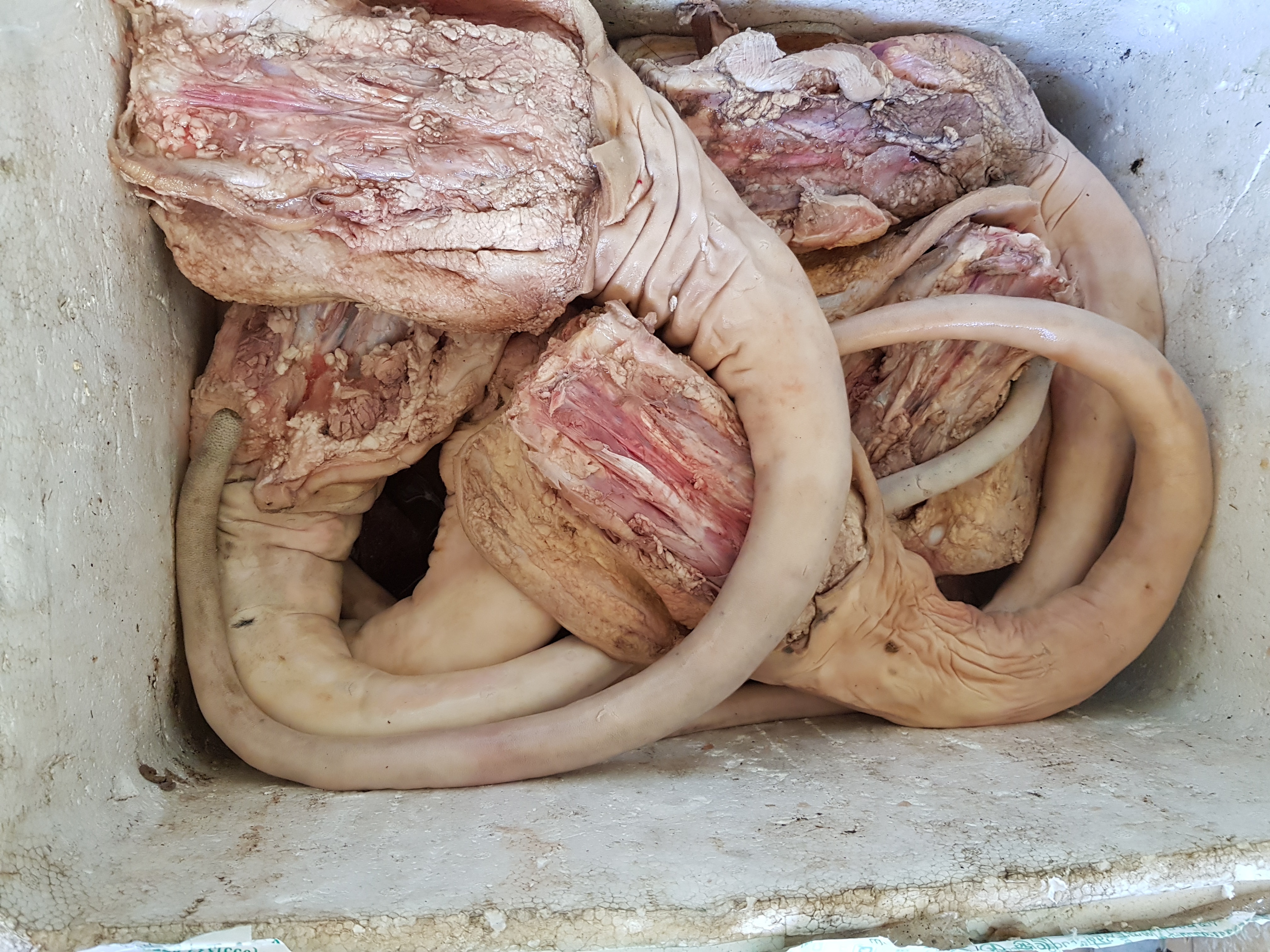  Toàn bộ sản phẩm động vật thu giữ được đều đã bốc mùi hôi thối. Ảnh: Vân Anh