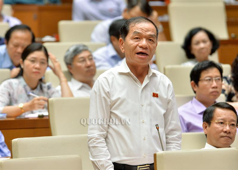 Đại biểu Quốc hội Lê Thanh Vân- tỉnh Cà Mau phát biểu ý kiến