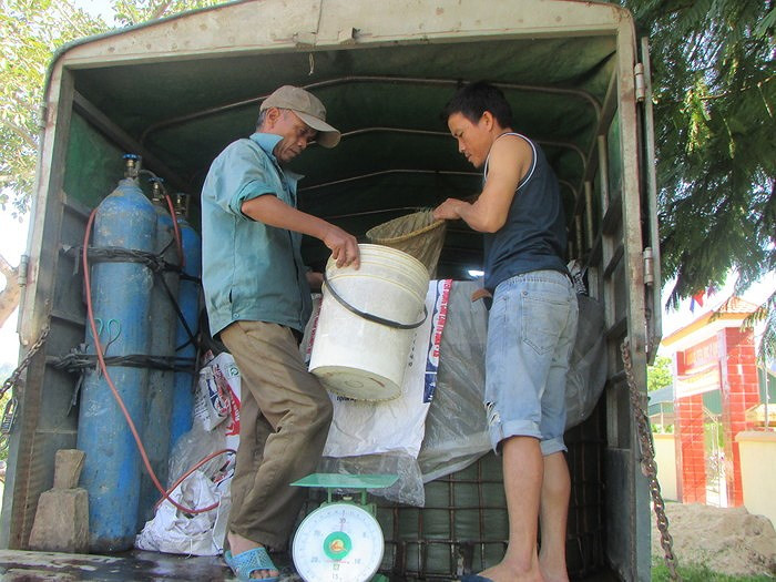 Các hộ dân nhận cá giống. Ảnh: Nguyễn Hường