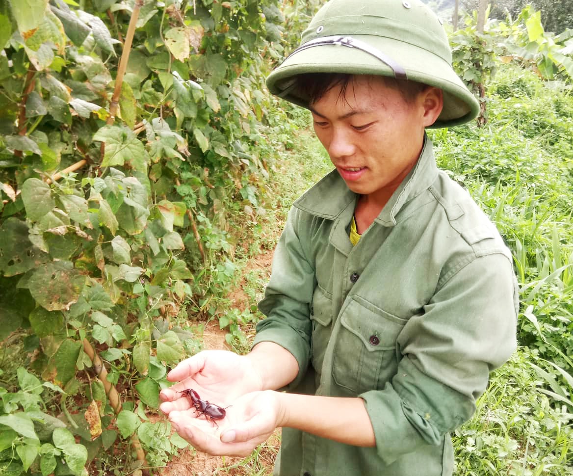 Khi mùa hè đến, cũng là lúc mùa 