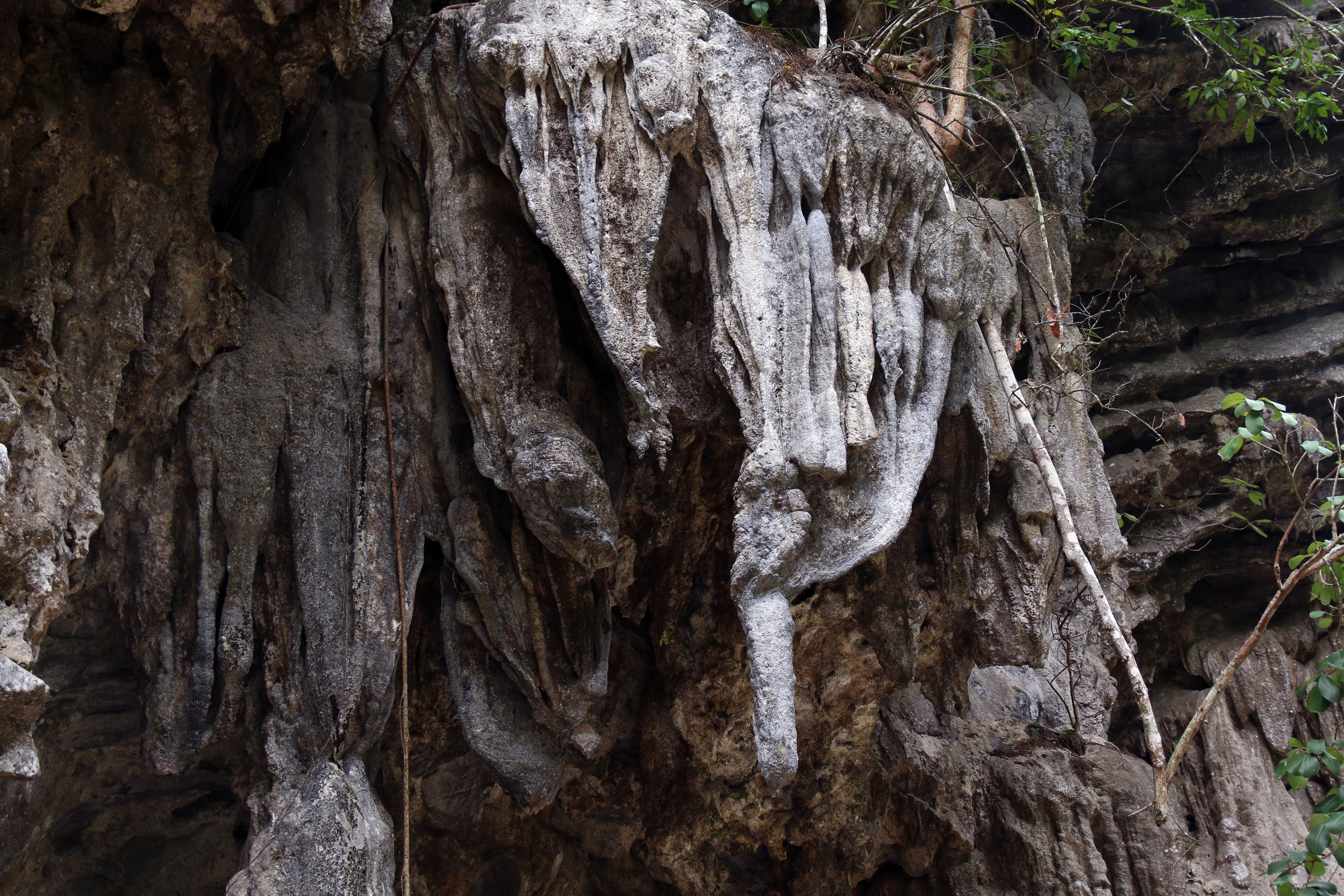 Các nhũ đá đẹp mắt treo lơ lửng trên vách chứng tỏ cung đường này từng là nơi tồn tại của nhiều hang động đẹp. Ảnh: Đào Thọ