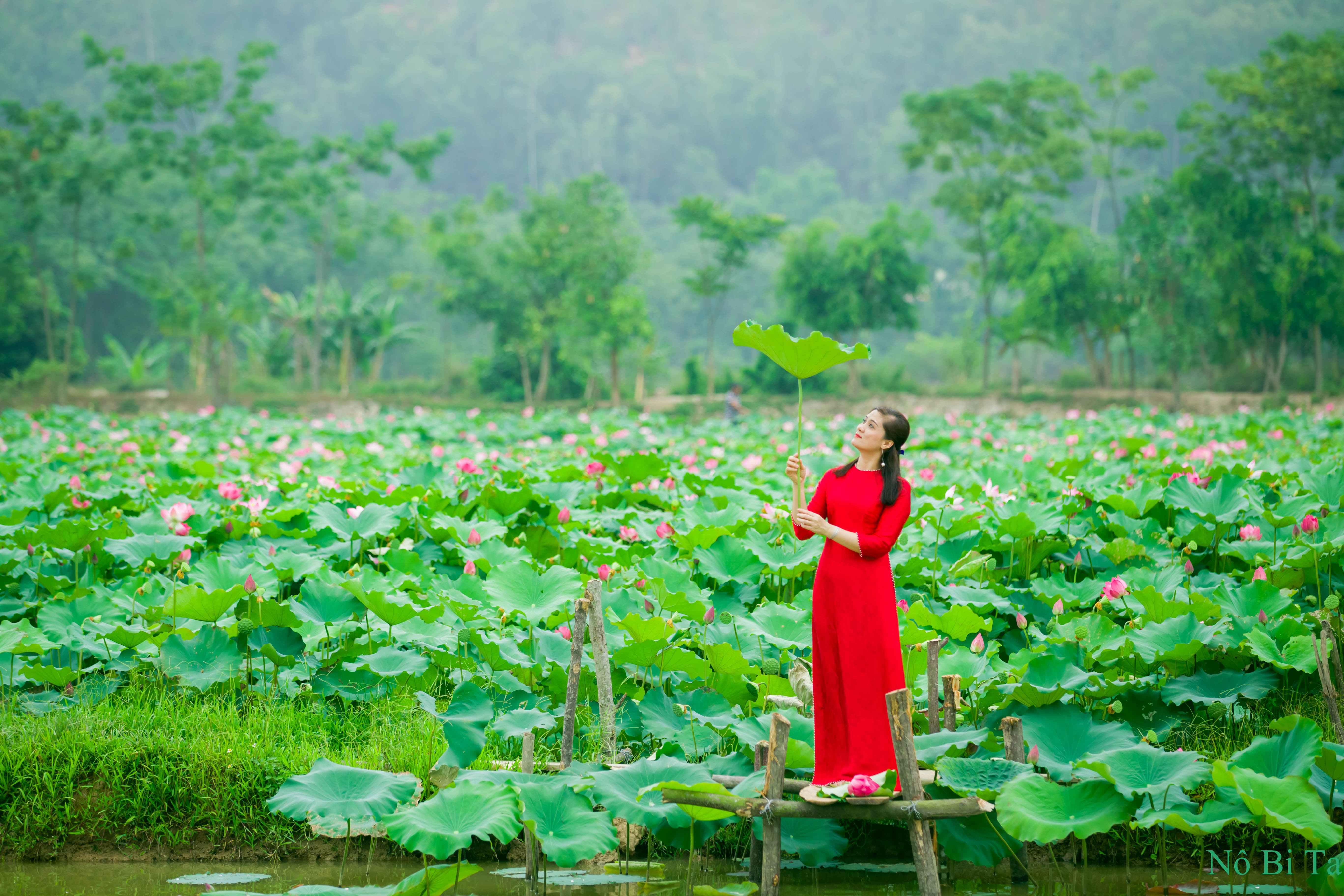 Cùng tạo dáng bên đầm sen để lưu lại những khoảnh khắc của một mùa hoa. Ảnh: Tuấn Anh