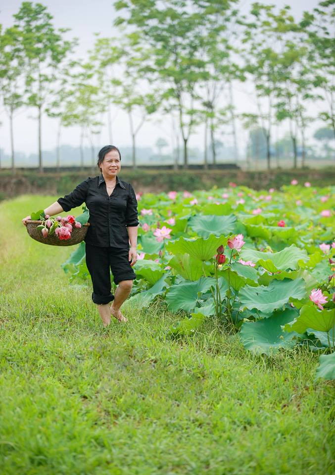 Những đóa hoa hái sớm để kịp phiên chợ sáng. Ảnh: Quốc Đàn