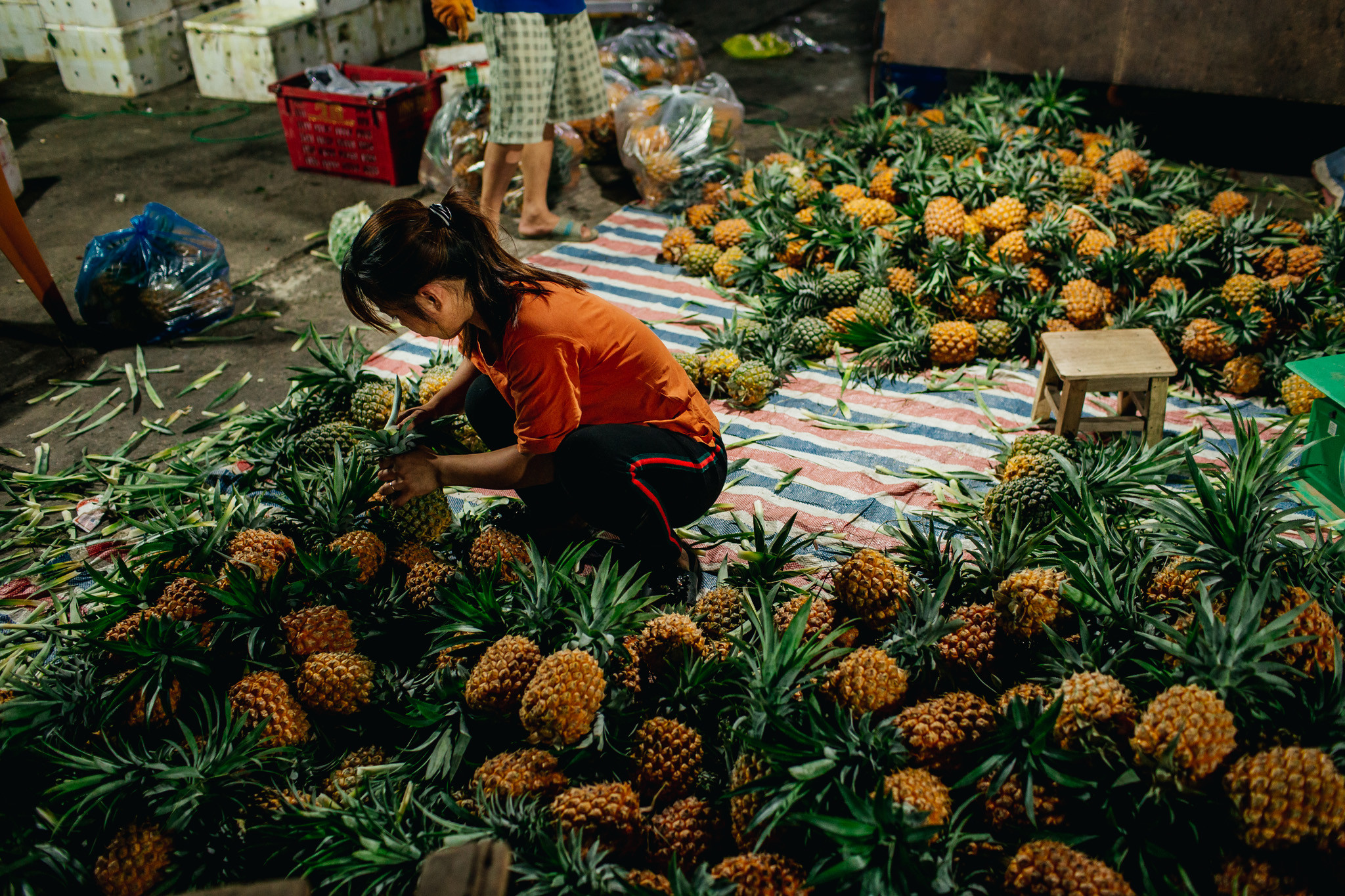 Các mặt hàng chủ yếu ở chợ là hoa quả, rau xanh có nguồn gốc từ những vùng chuyên canh như Nam Đàn, Quỳnh Lưu, và cả từ Đà Lạt, Hà Tây. Ảnh: Kiên Rose