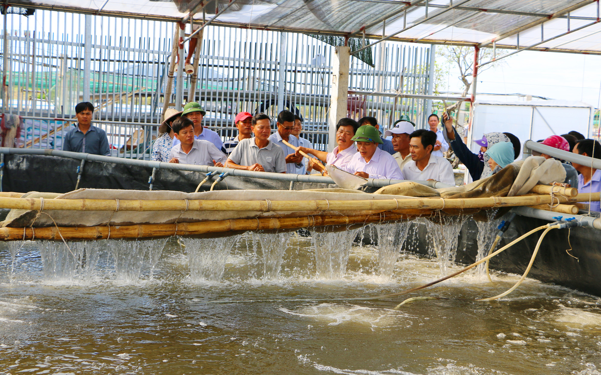 Các đại biểu hội nông dân tham quan mô hình nuôi tôm giống bằng ương dèo trước khi thả vào ao nuôi. Ảnh: Nguyễn Hải