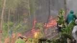 Cháy rừng lan từ Yên Thành sang Đô Lương, cả ngàn người dập lửa