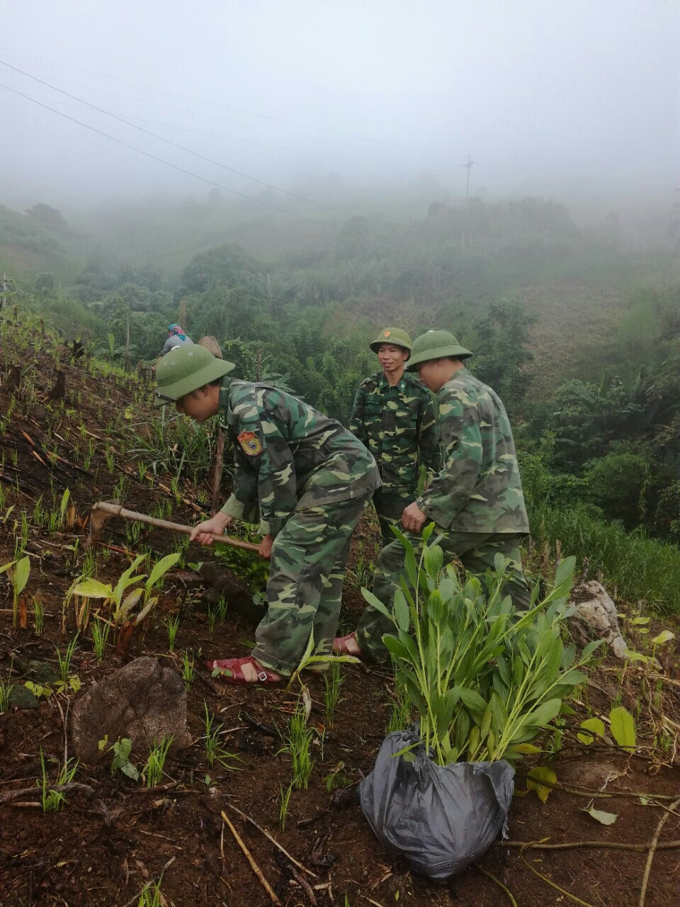 Can bộ, chiến sỹ Đồn Biên phòng Nậm Càn hỗ trợ gia đình ông Lầu Nhìa Xồng cây giống và công đoạn trồng