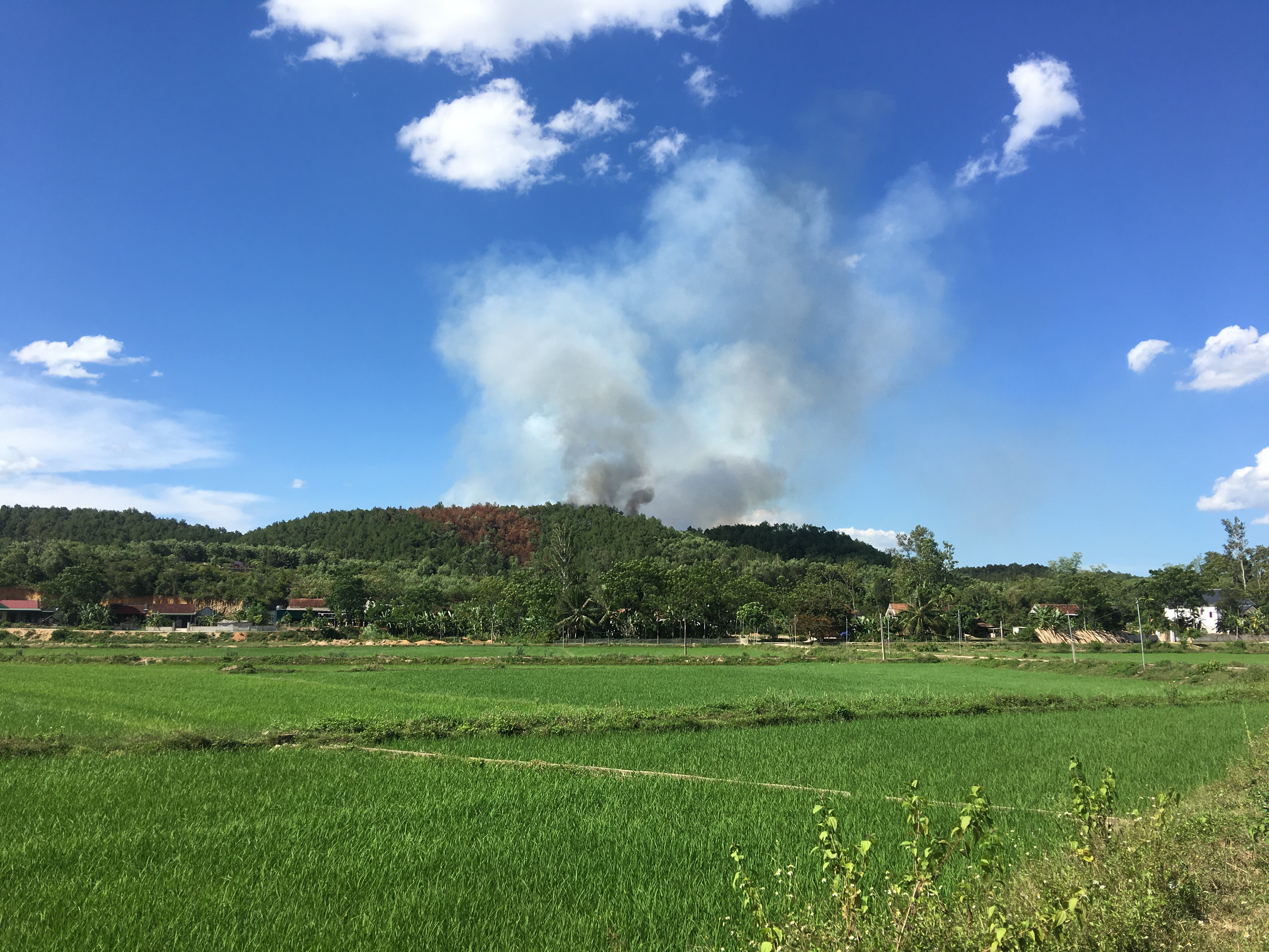 Đám cháy bắt đầu xuất hiện tại khu vực rừng thông thuộc xóm 1. Ảnh: Ngọc Minh