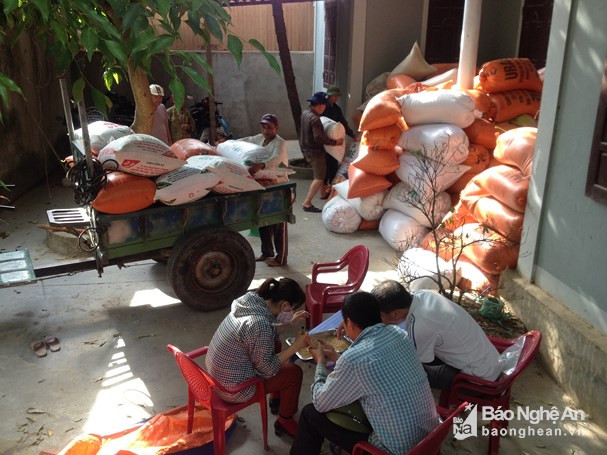 HTX Nông nghiệp Hồng Thành (Yên Thành) thu mua lúa cho nông dân với giá cao hơn 1,5 lần so với thị trường trong sản xuất vụ xuân 2018. Ảnh:Thái Dương