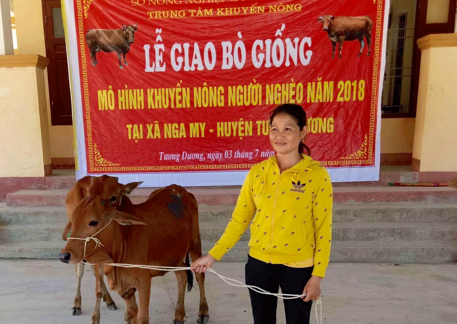 Người dân xã Xiêng My nhận bò phát triển chăn nuôi. Ảnh: Huyền May.