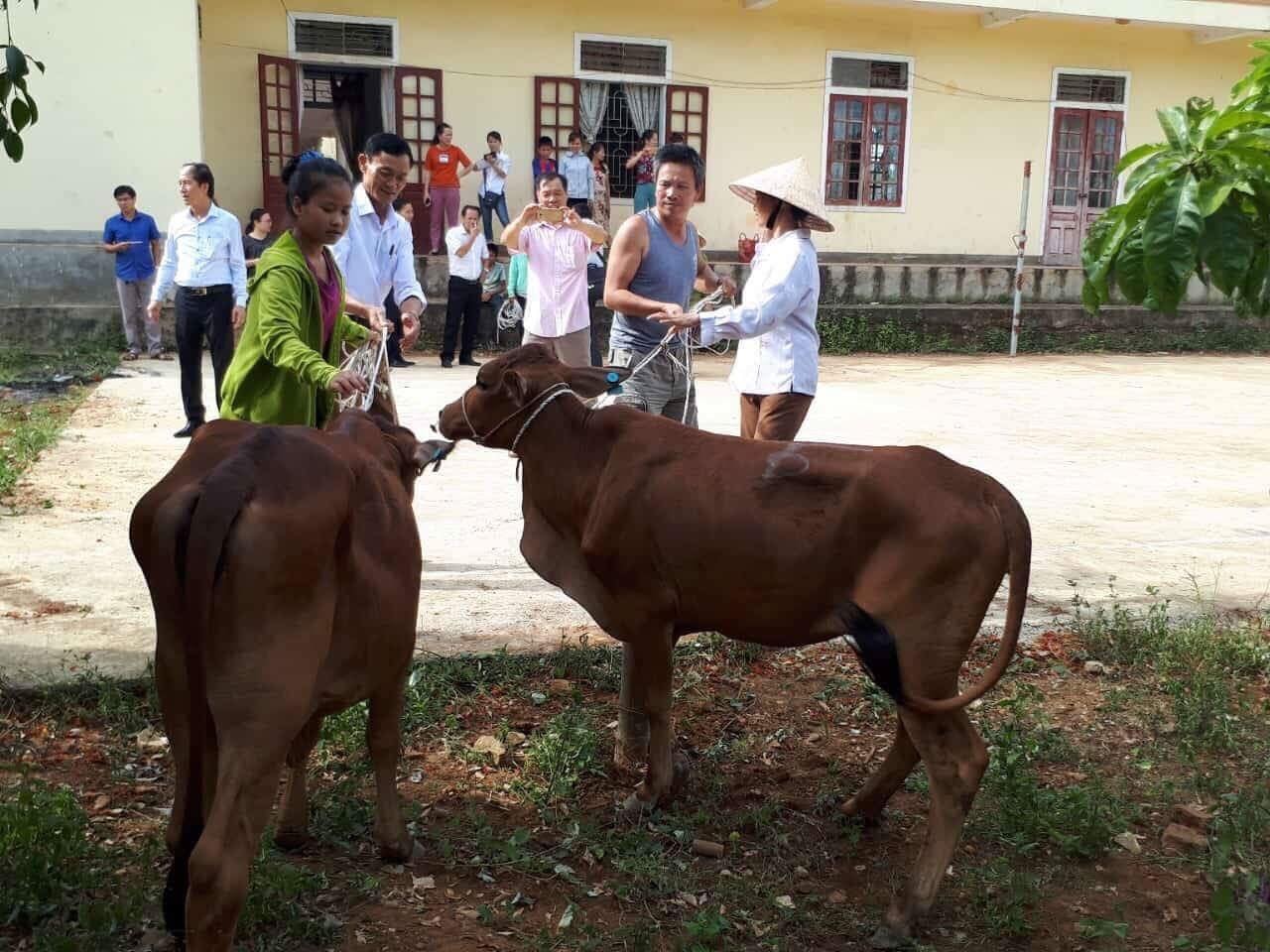 Các hộ vui mừng khi nhận được bò. Ảnh Minh Thái