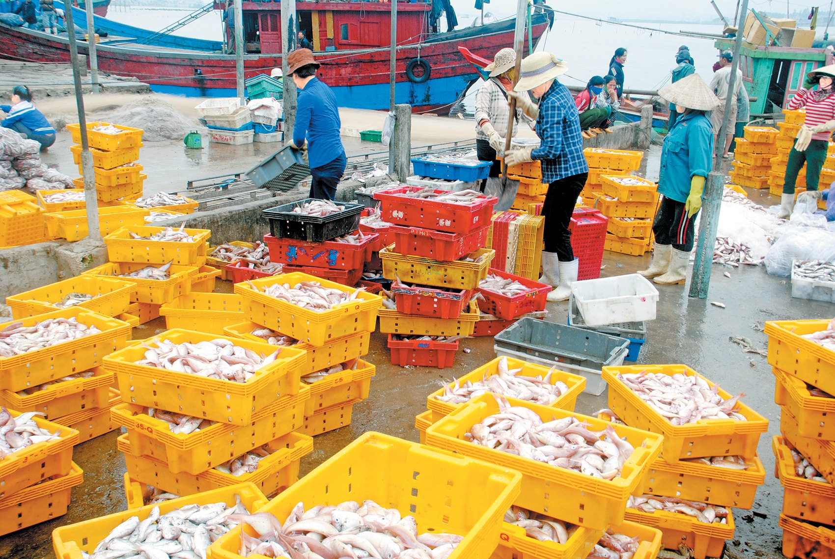 Cảng cá Quỳnh Phương. Ảnh Ngô Trí Hưng