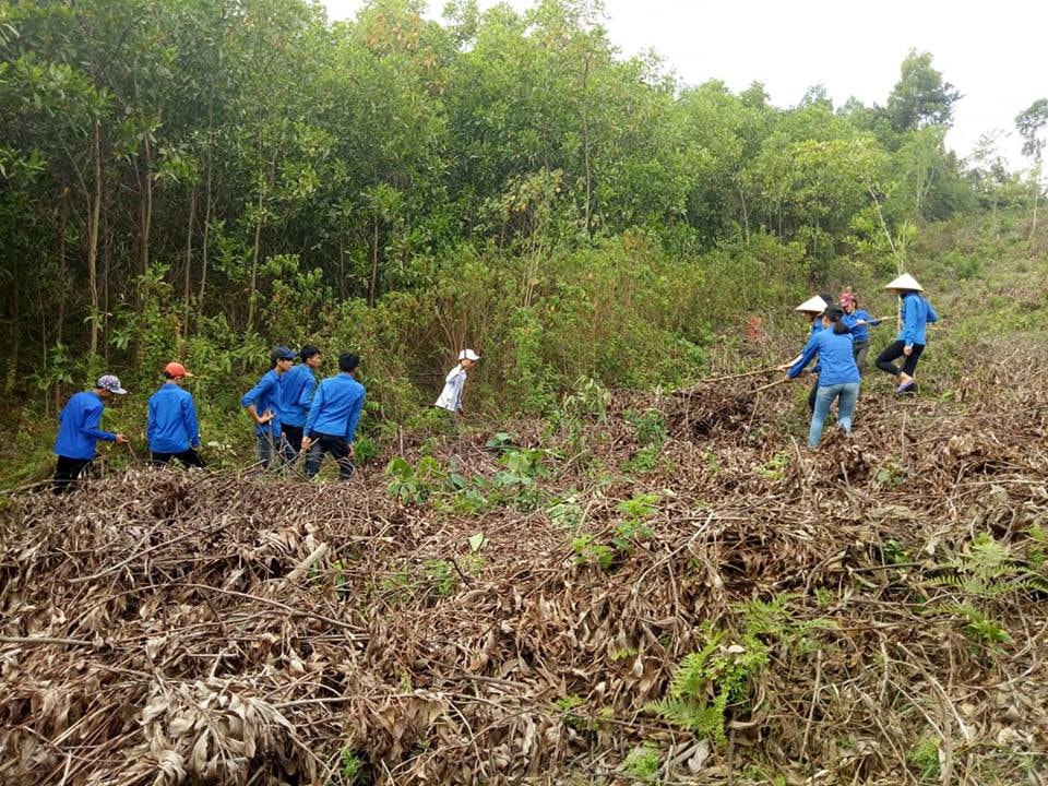 thu dọn thực bì