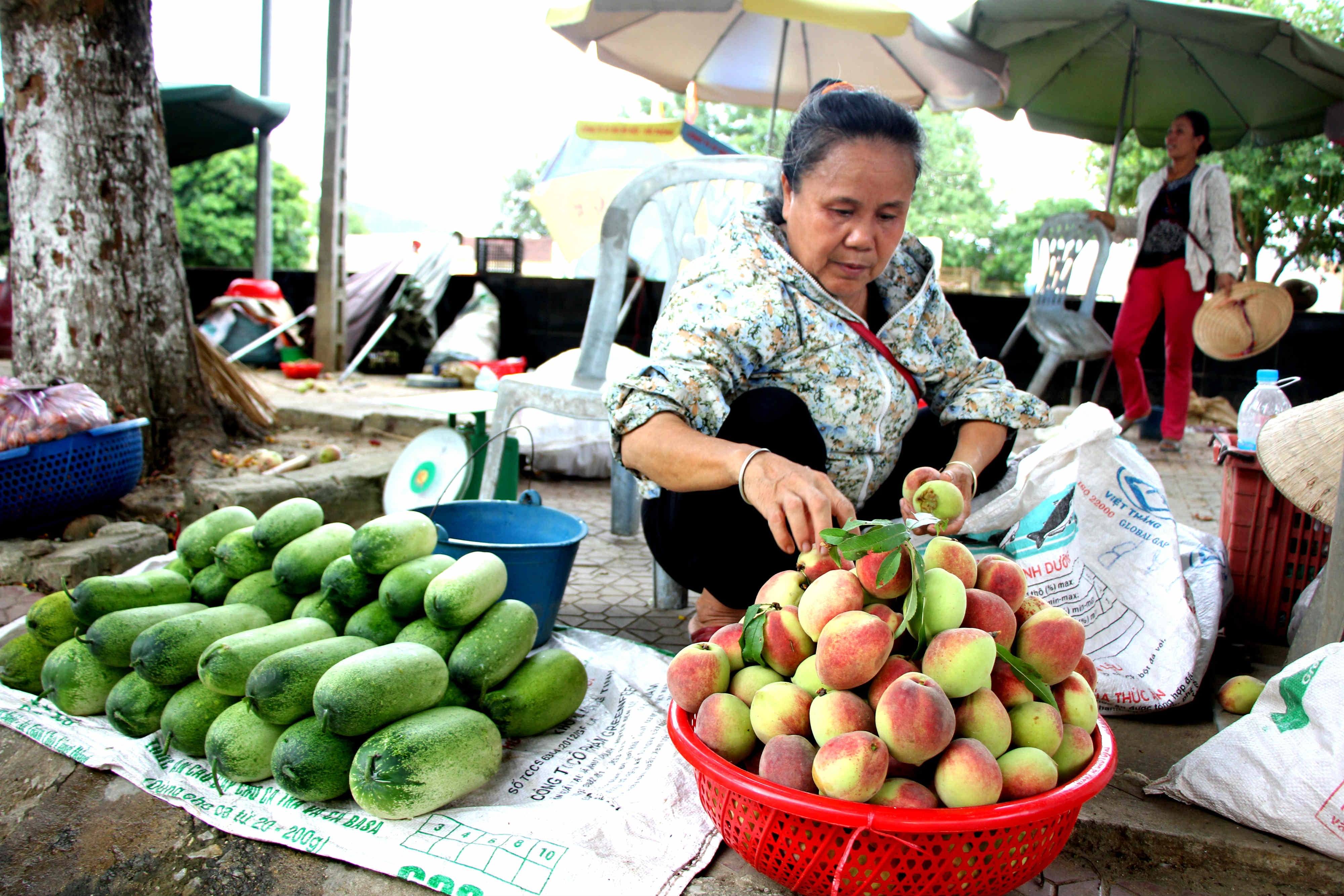 Những quả dưa nại, đào Mông được đưa từ núi rừng biên giới Việt – Lào về với phố núi Quế Phong. Ảnh: Hùng Cường 