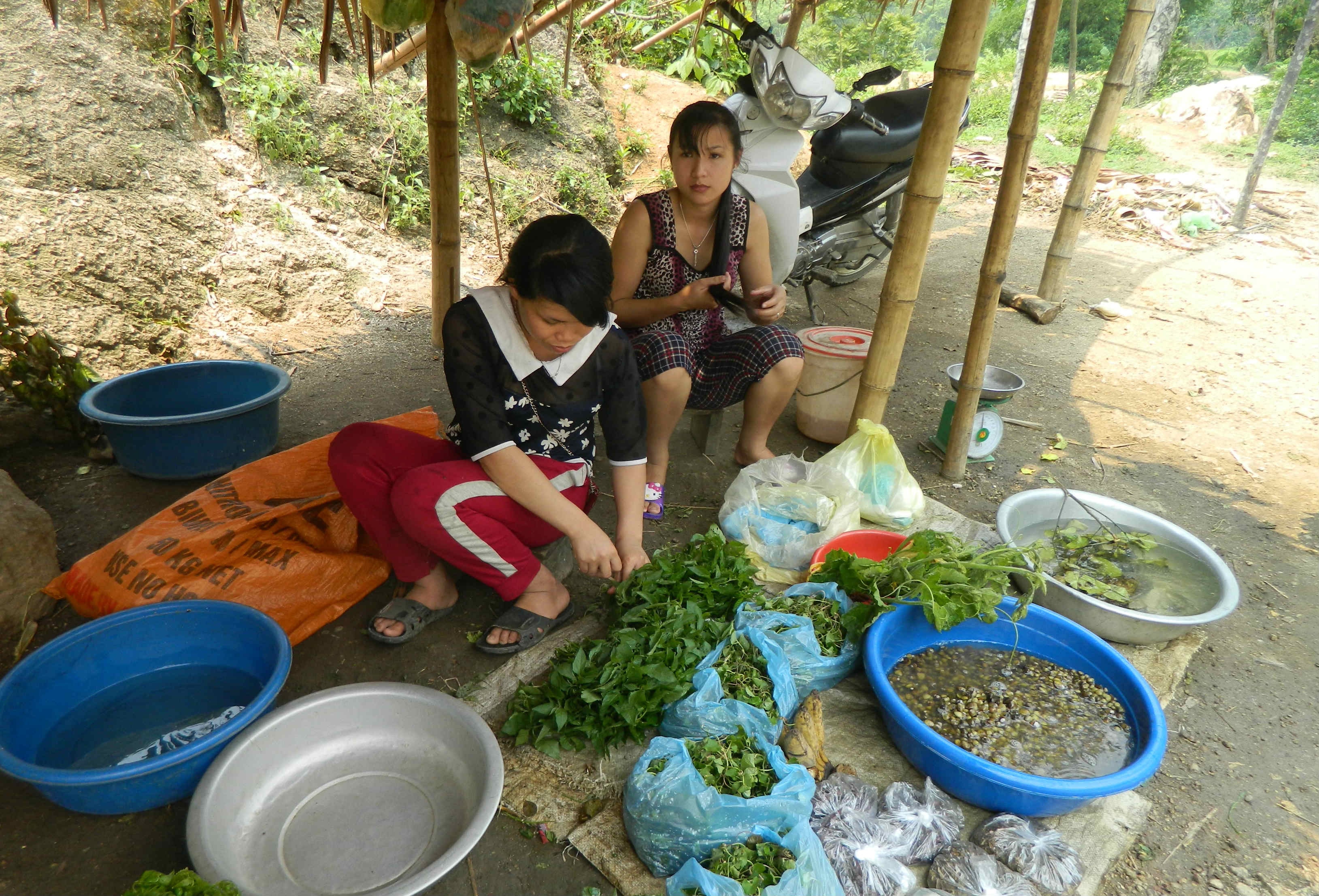 Những cái lán dựng tạm ở các bản làng là nơi người dân bày bán những sản vật hái, đánh bắt được trên rừng như: Rau, quả rừng; thú rừng; cá khe, suối. Ảnh: Hùng Cườmg