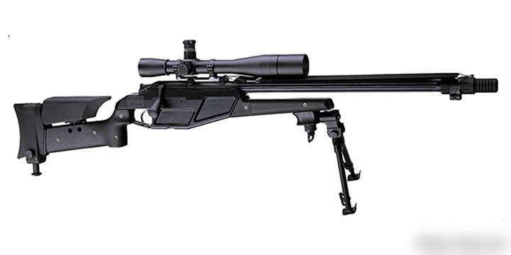R93 Tactical là súng bắn tỉa của Đức. Súng có độ chính xác cao, với tầm bắn hiệu quả là 800m. Nòng súng dài 60cm hoặc 76,2cm.