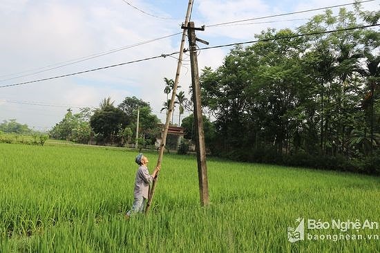 Hạ tầng lưới điện đang gây mất an toàn ở nhiều khu vực nông thôn Nghệ An. Ảnh tư liệu