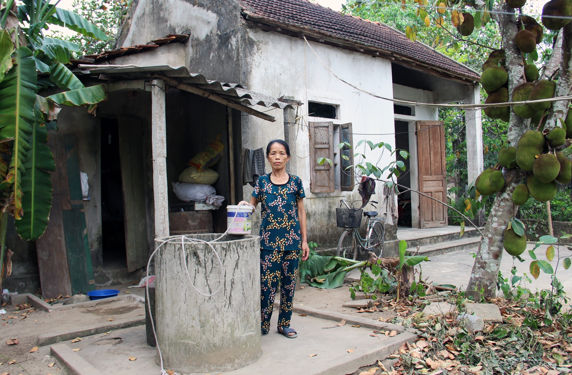 nguyễn thị tý 