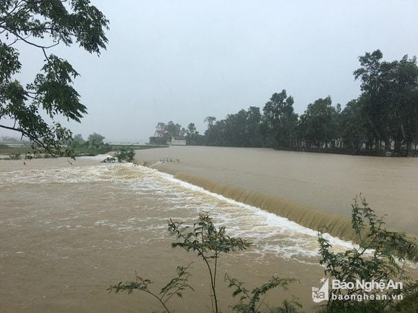 Cánh đồng Bầu Đù chìm ngập trong mưa lớn. Ảnh tư liệu: Ngọc Phương