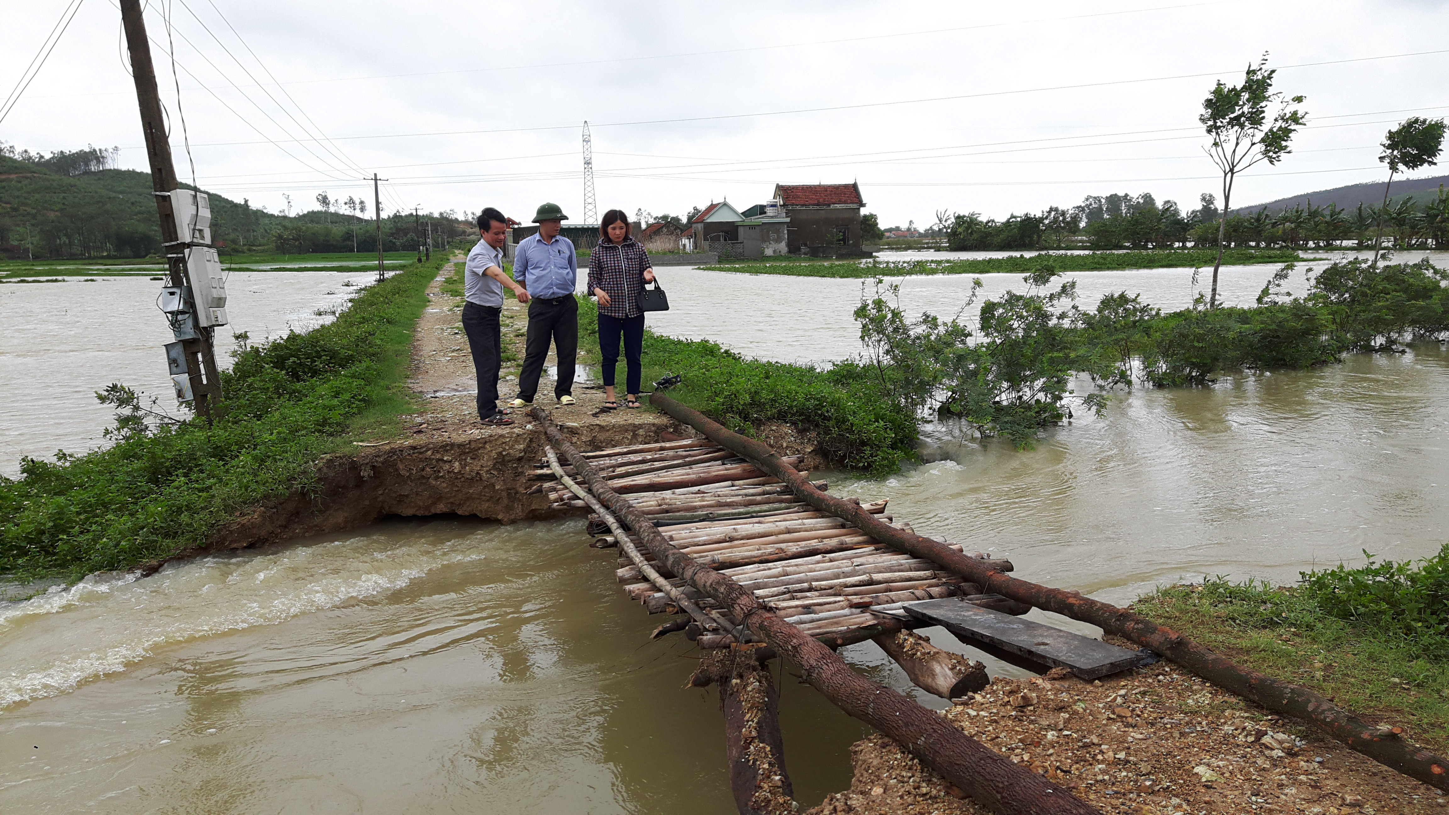 Cống tưới đập Bàu Xạ thuộc xóm 17, xã Quỳnh Lâm (Quỳnh Lưu) bị vỡ với chiều dài 6m, phải dùng cọc tre làm cầu tạm bắc qua. Ảnh: Hồng Diện